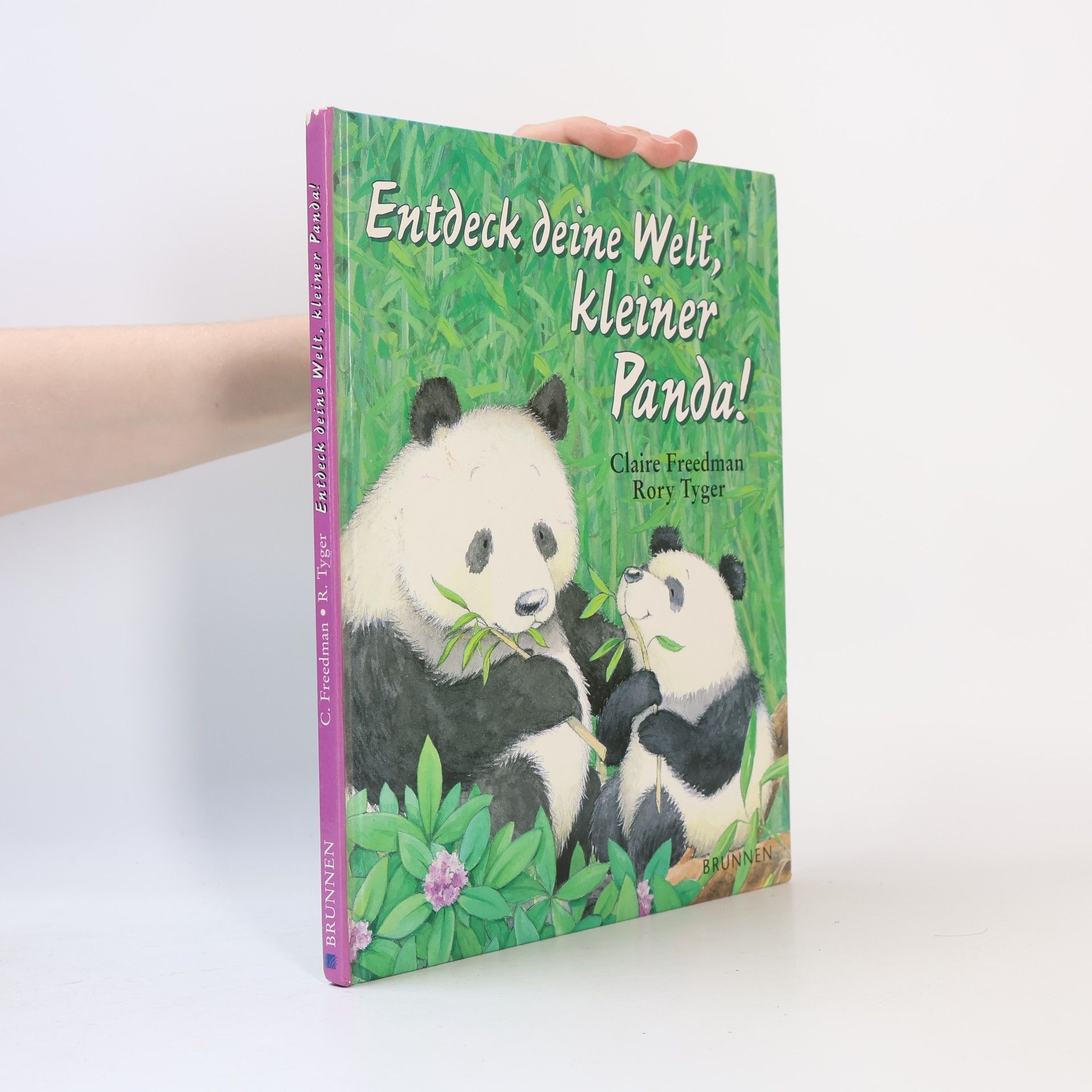 Claire Freedman Entdeck deine Welt, kleiner Panda!