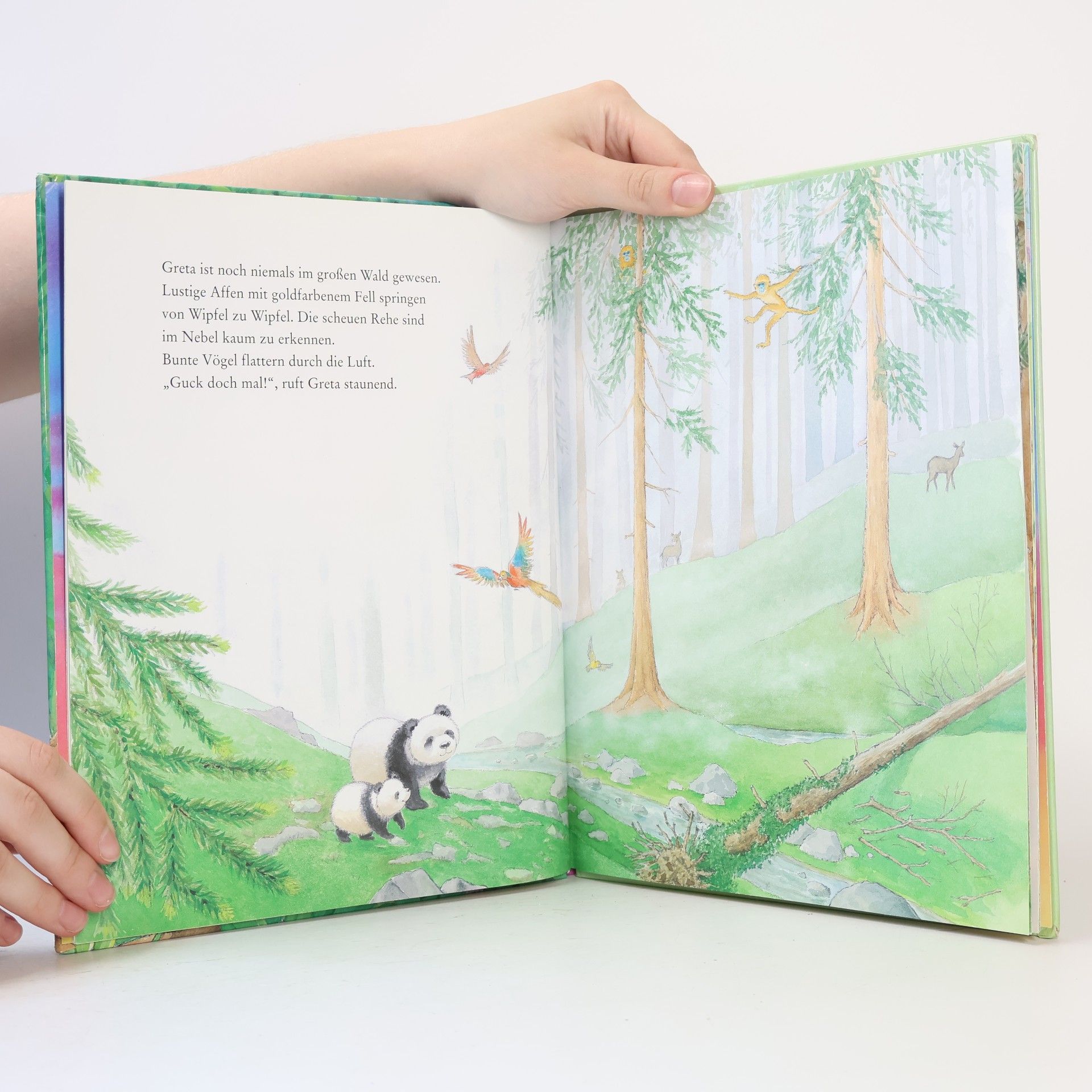 Claire Freedman Entdeck deine Welt, kleiner Panda!
