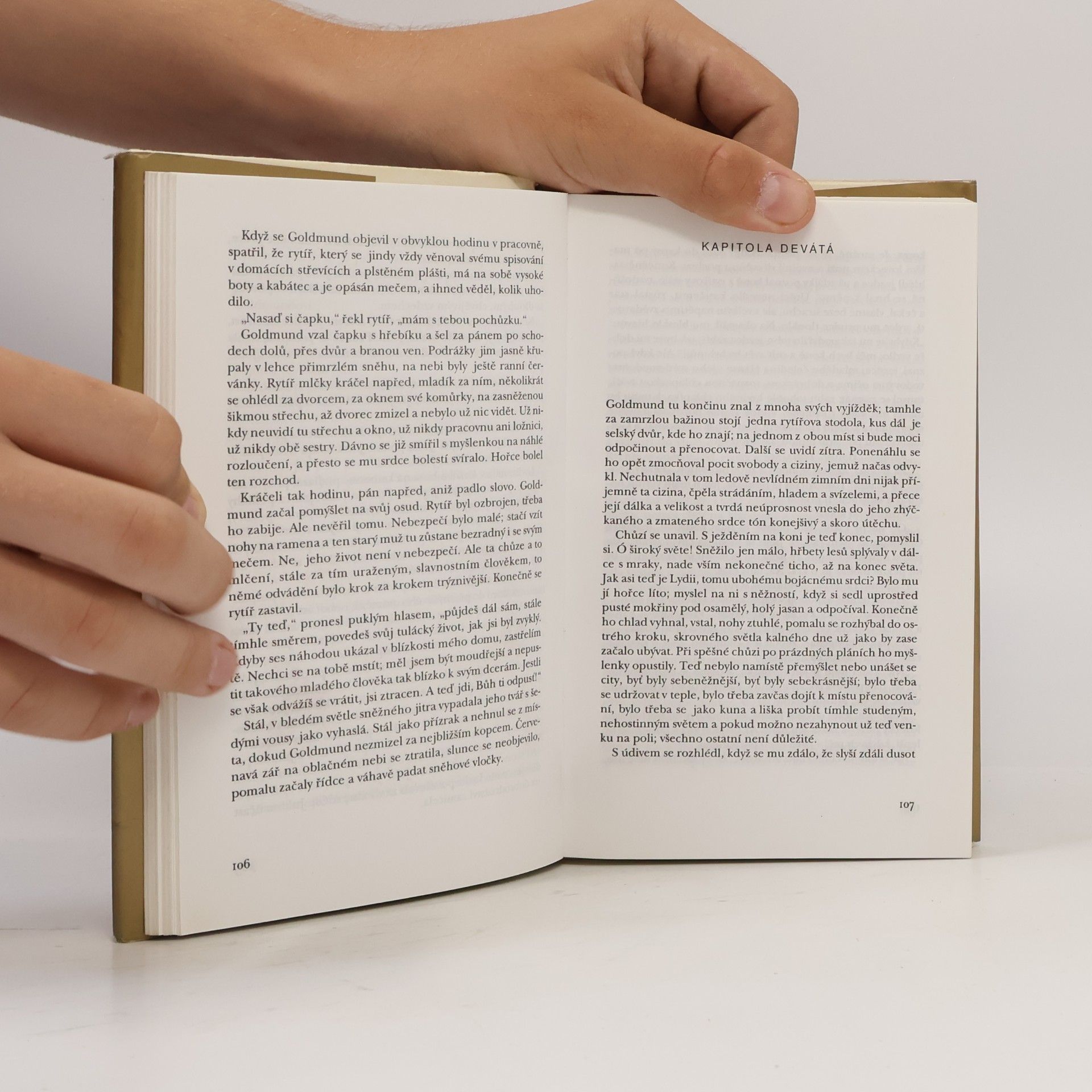 Hermann Hesse Narcis a Goldmund