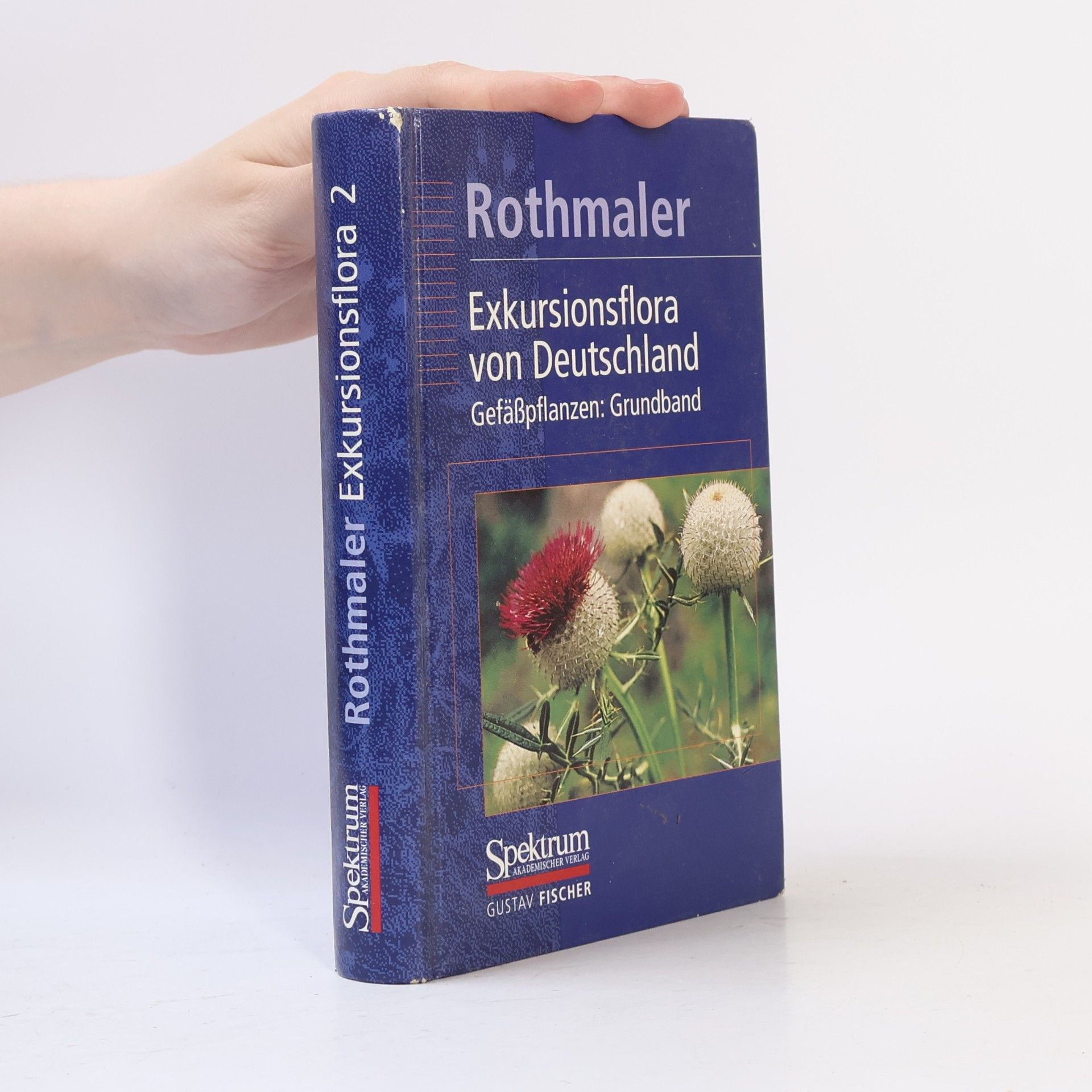 Eckehart J. Jäger Rothmaler. Exkursionsflora von Deutschland. Band 2. Gefäßpflanzen: Grundband