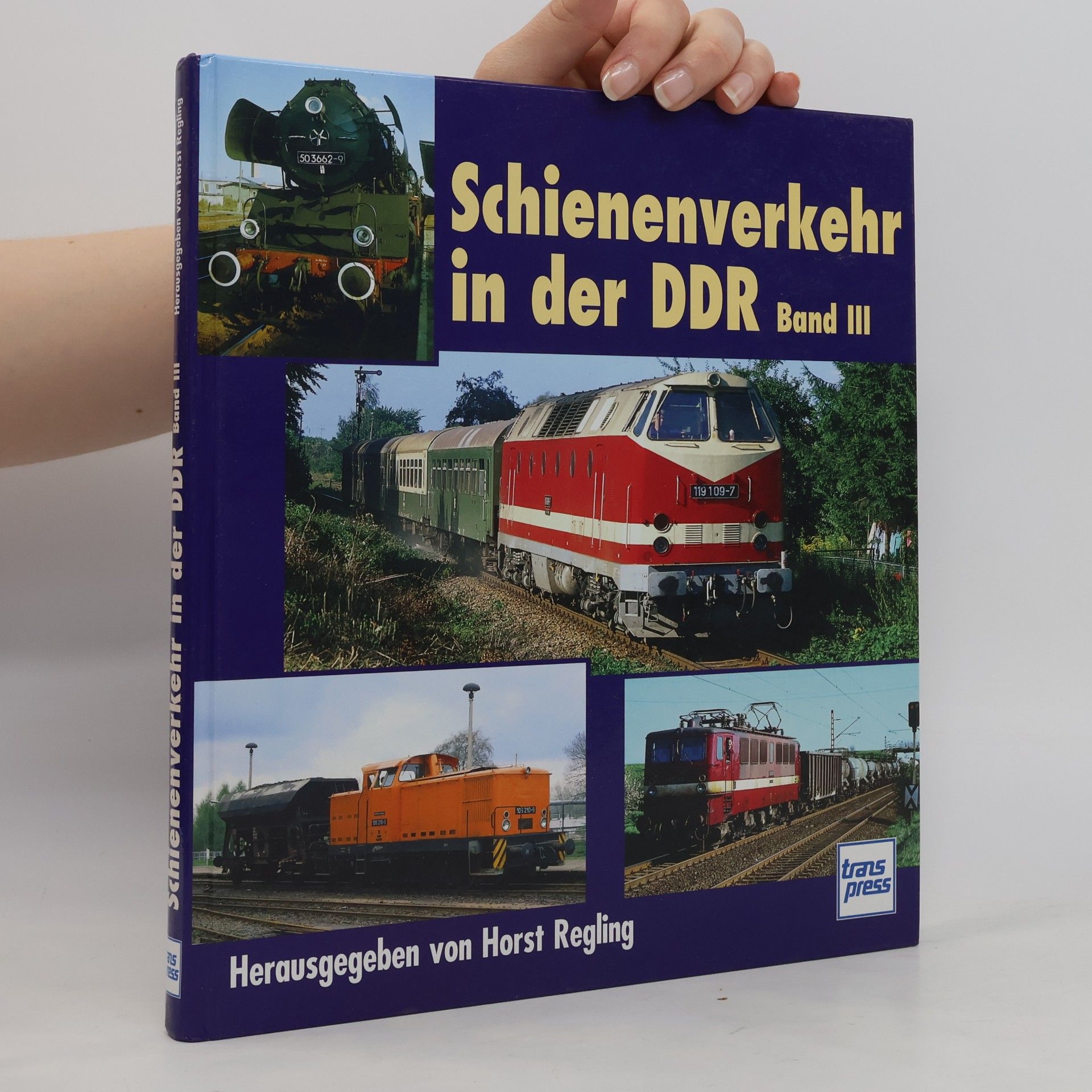 Horst Regling Schienenverkehr in der DDR