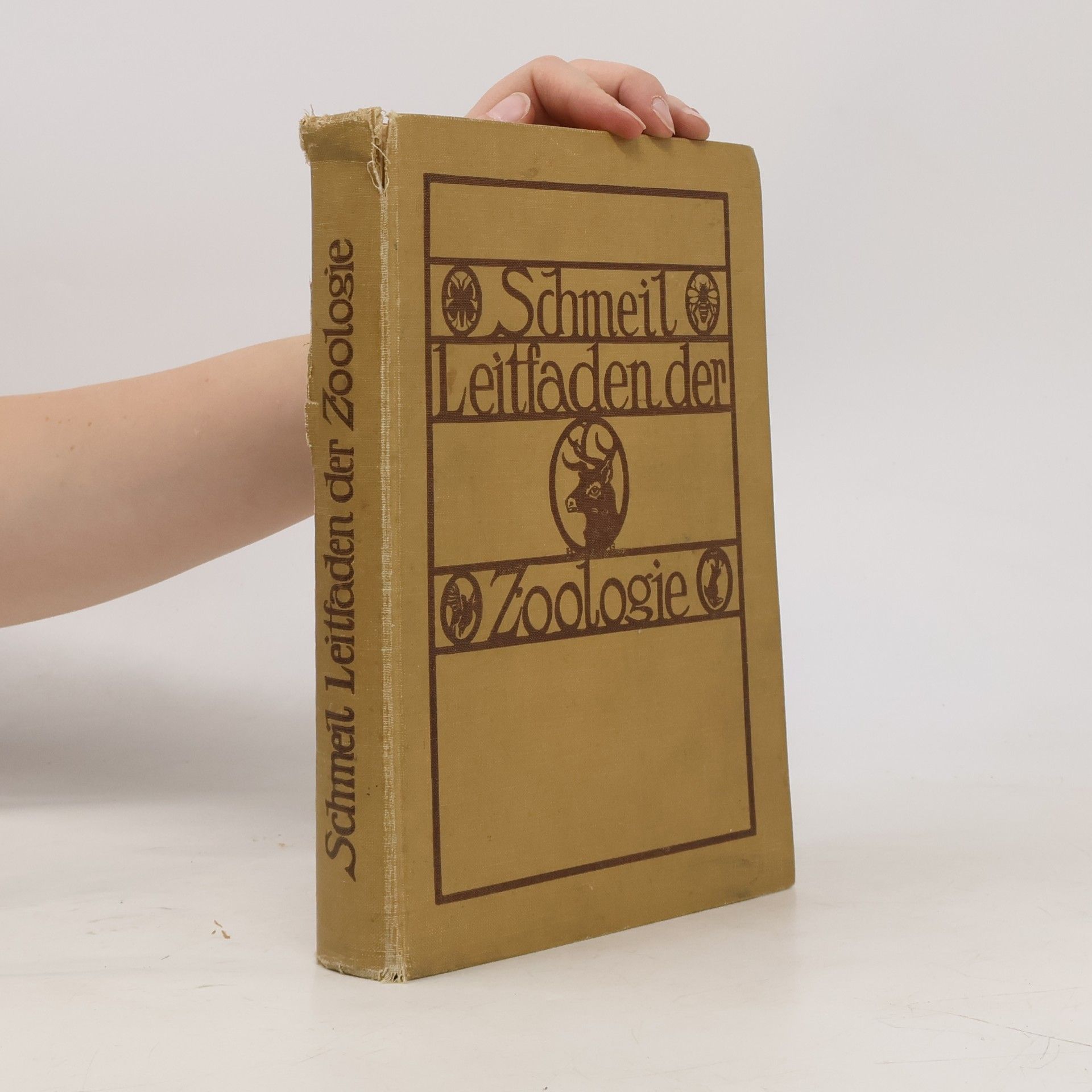 Otto Schmeil Leitfaden der Zoologie