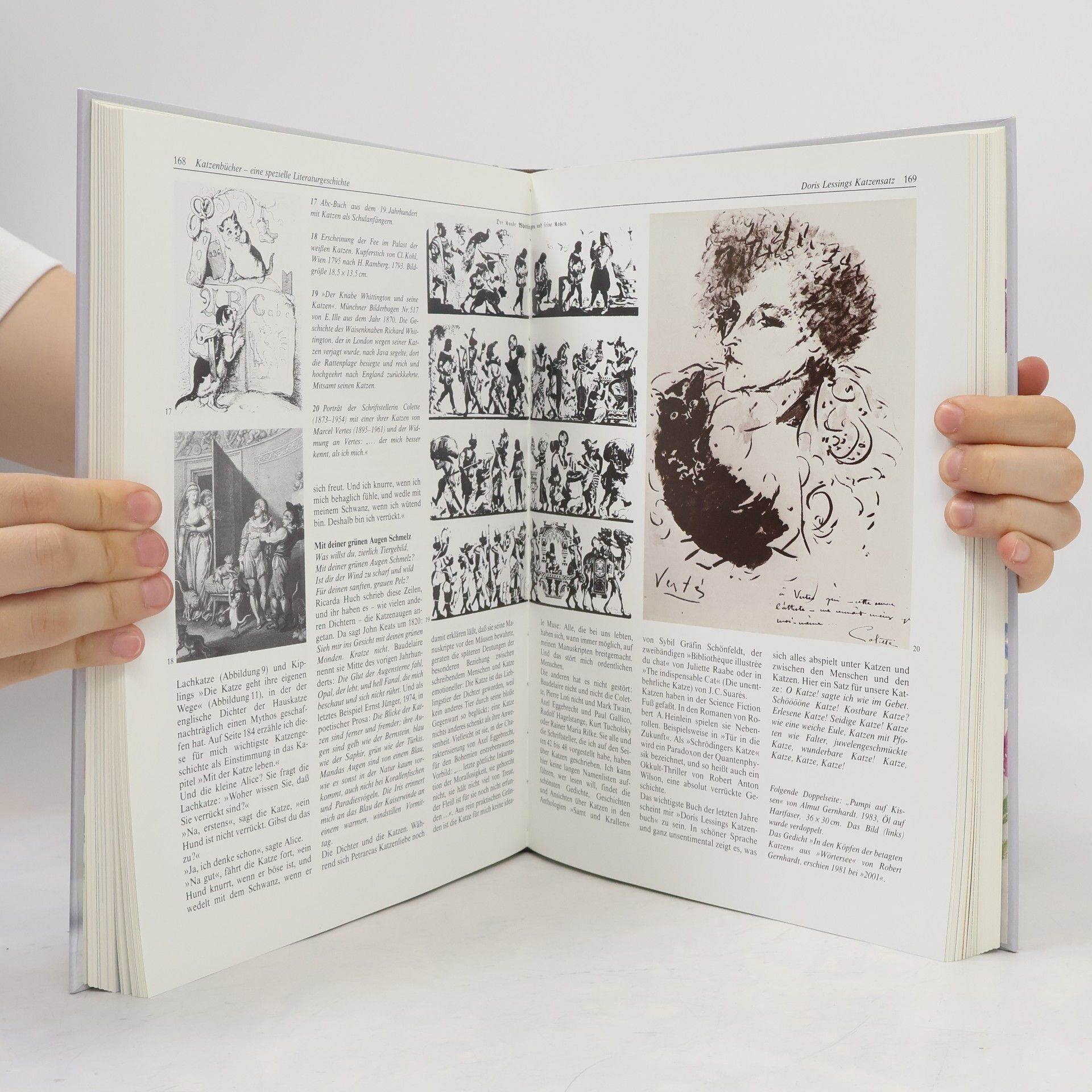 Ulrich Klever Knaurs grosses Katzenbuch