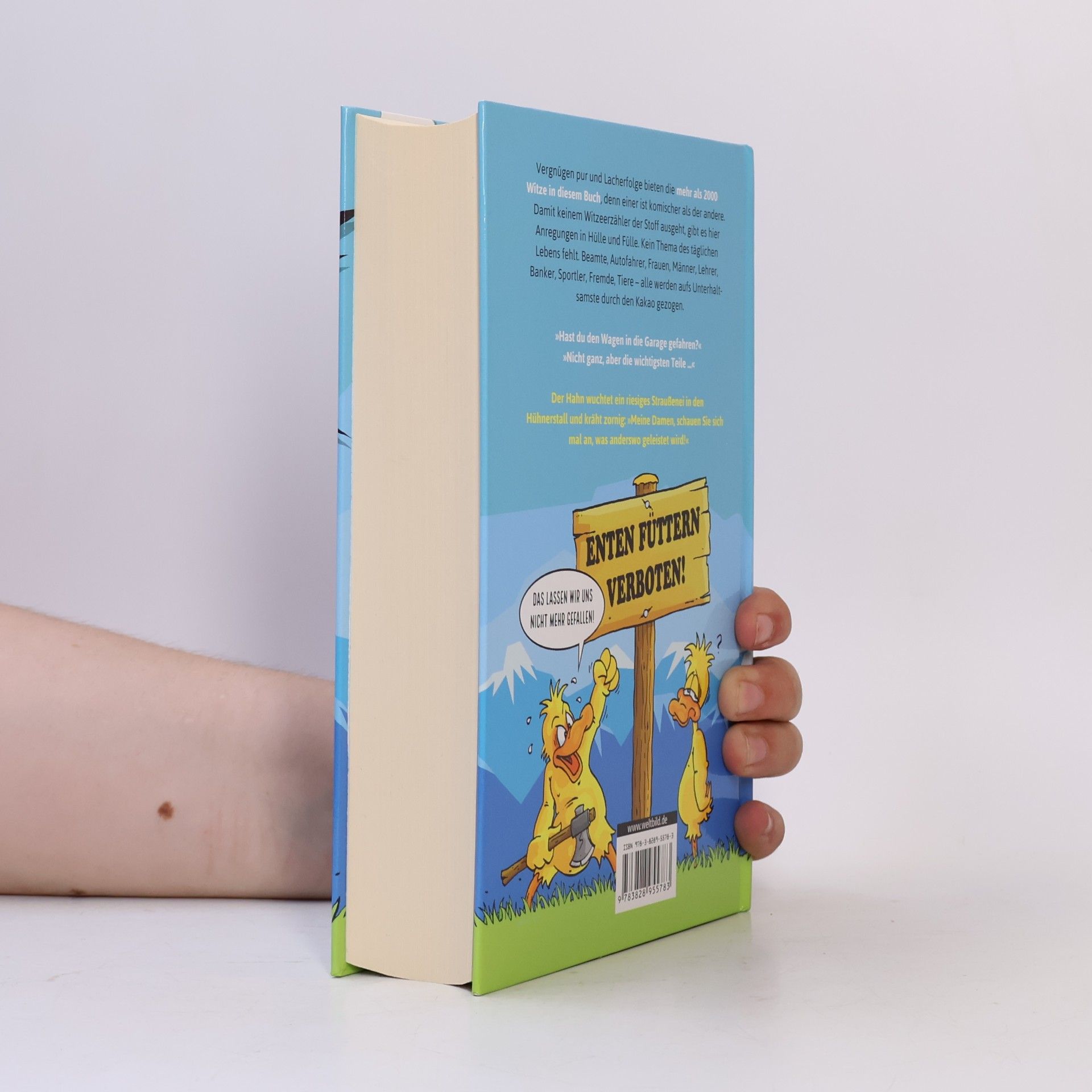 Das Mega Witzebuch