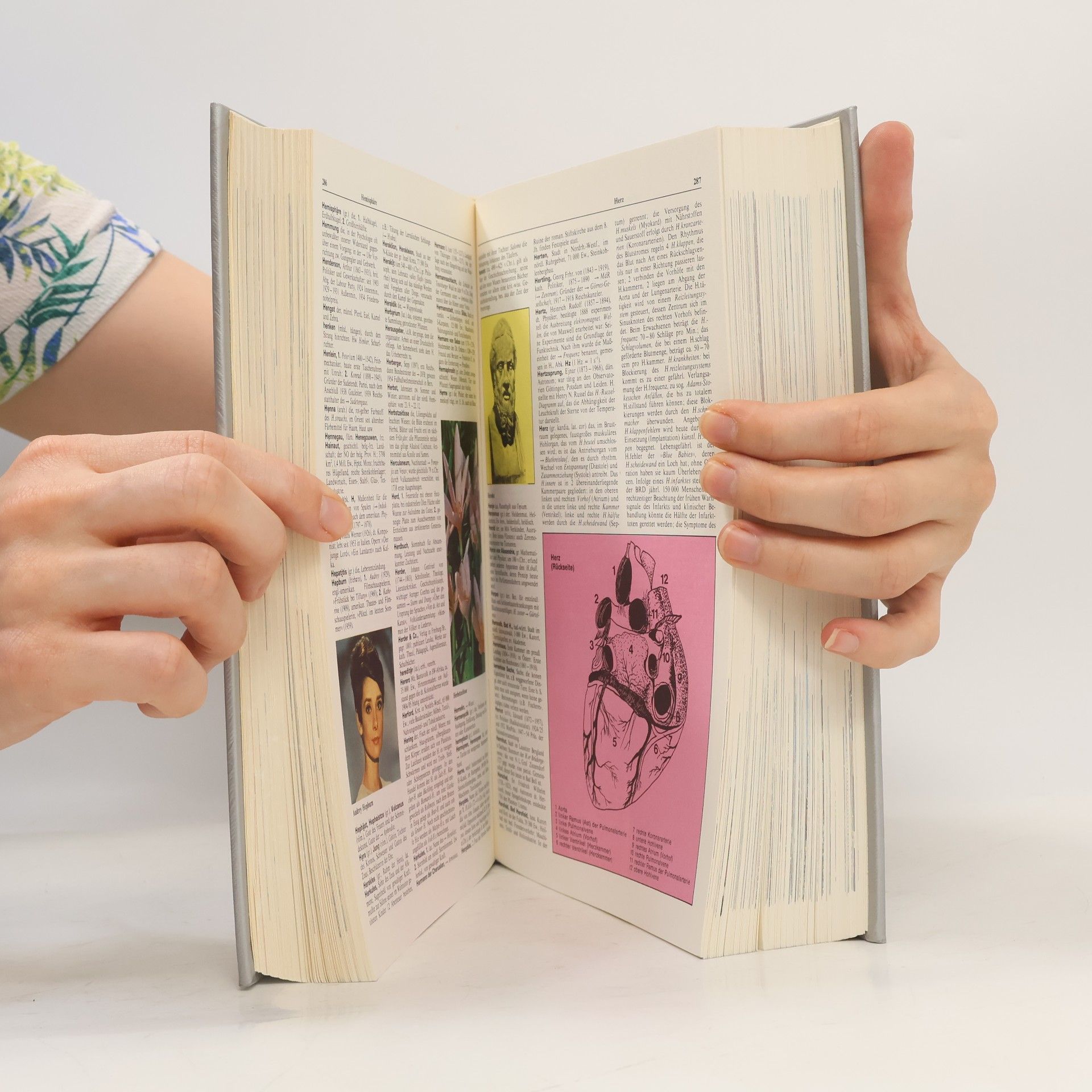 Collectif d'auteurs Das Neue grosse Lexikon in Farbe