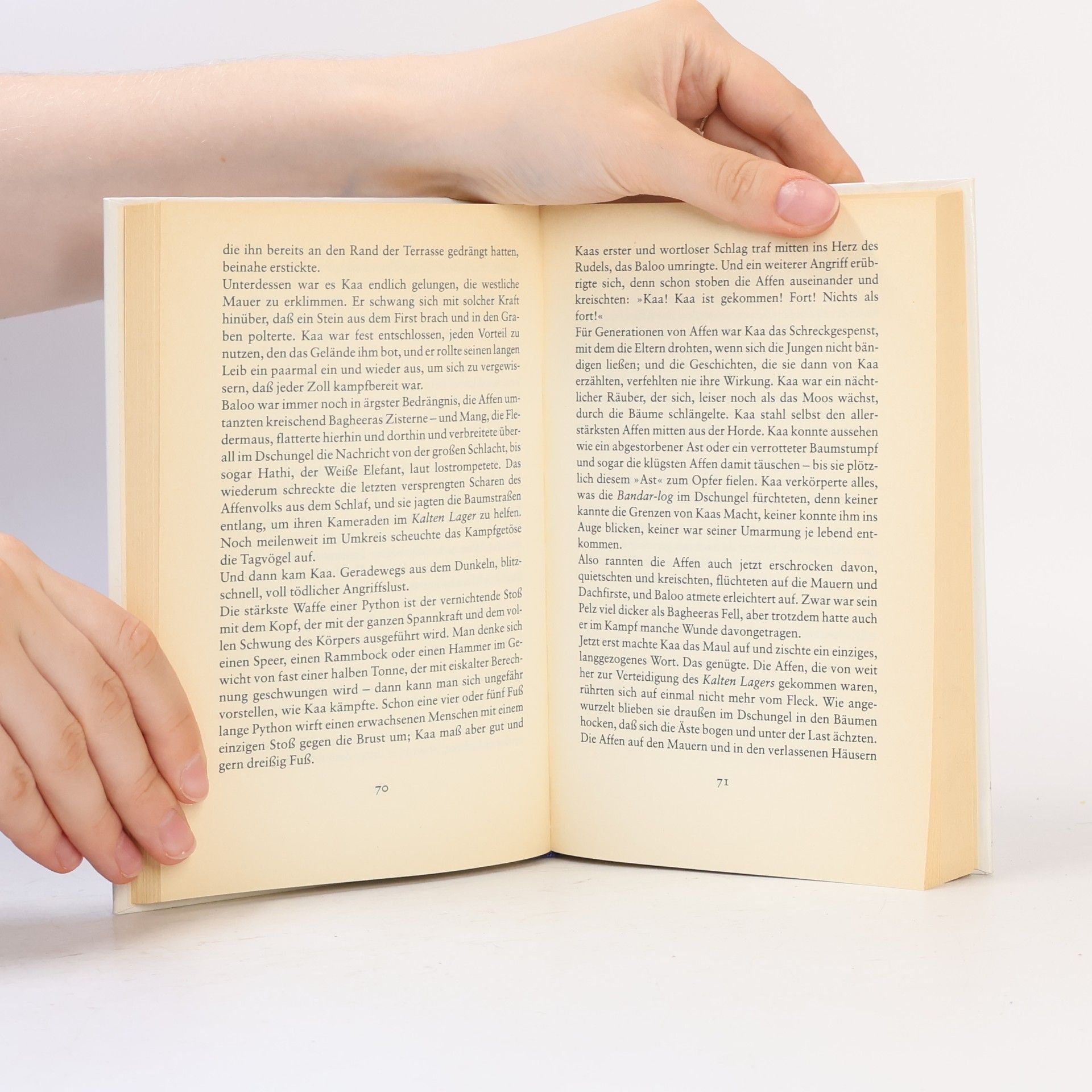 Rudyard Kipling Das Dschungelbuch