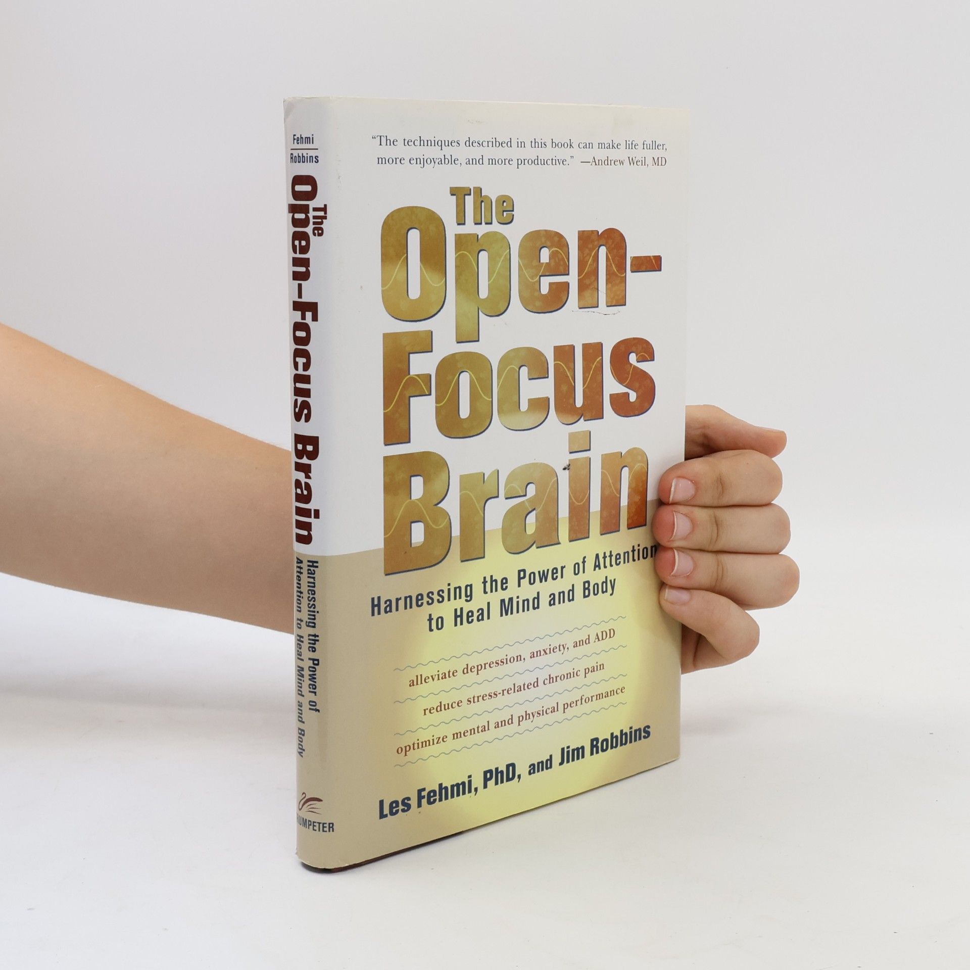 Les Fehmi The Open-focus Brain