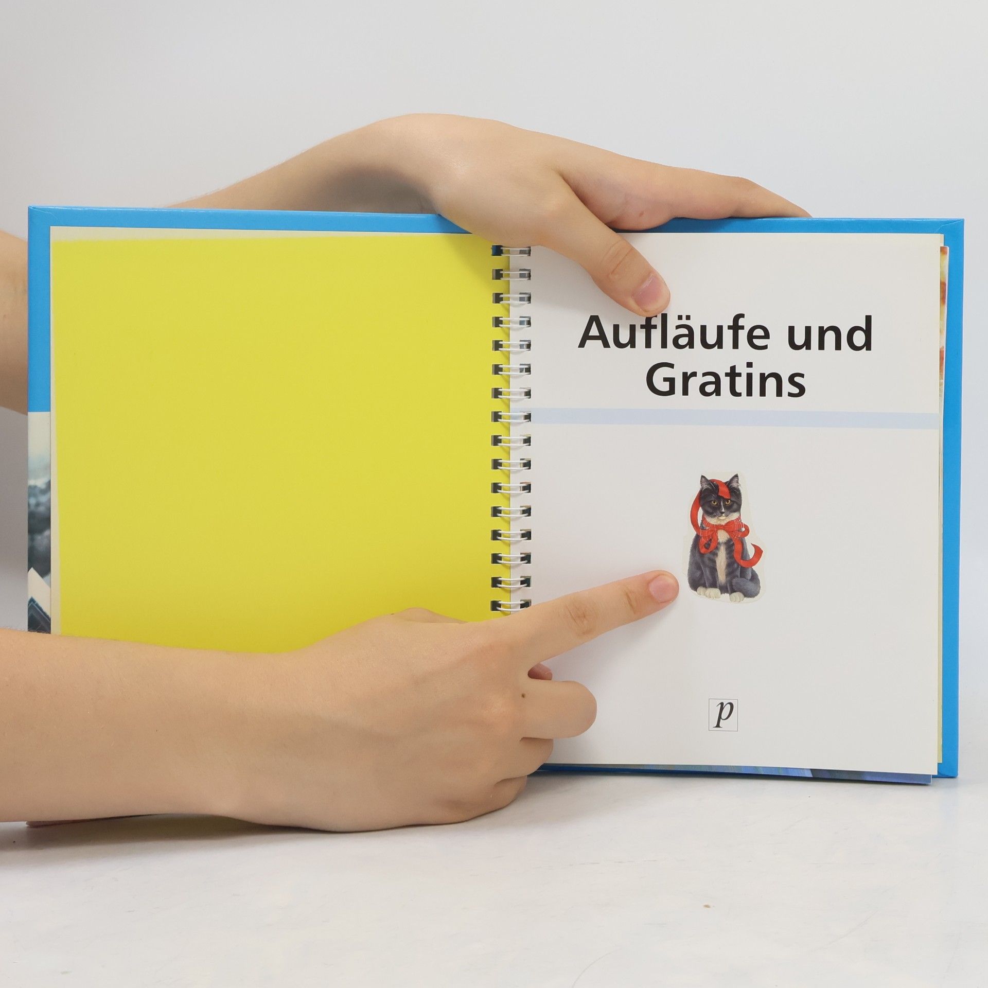 Aufläufe & Gratins