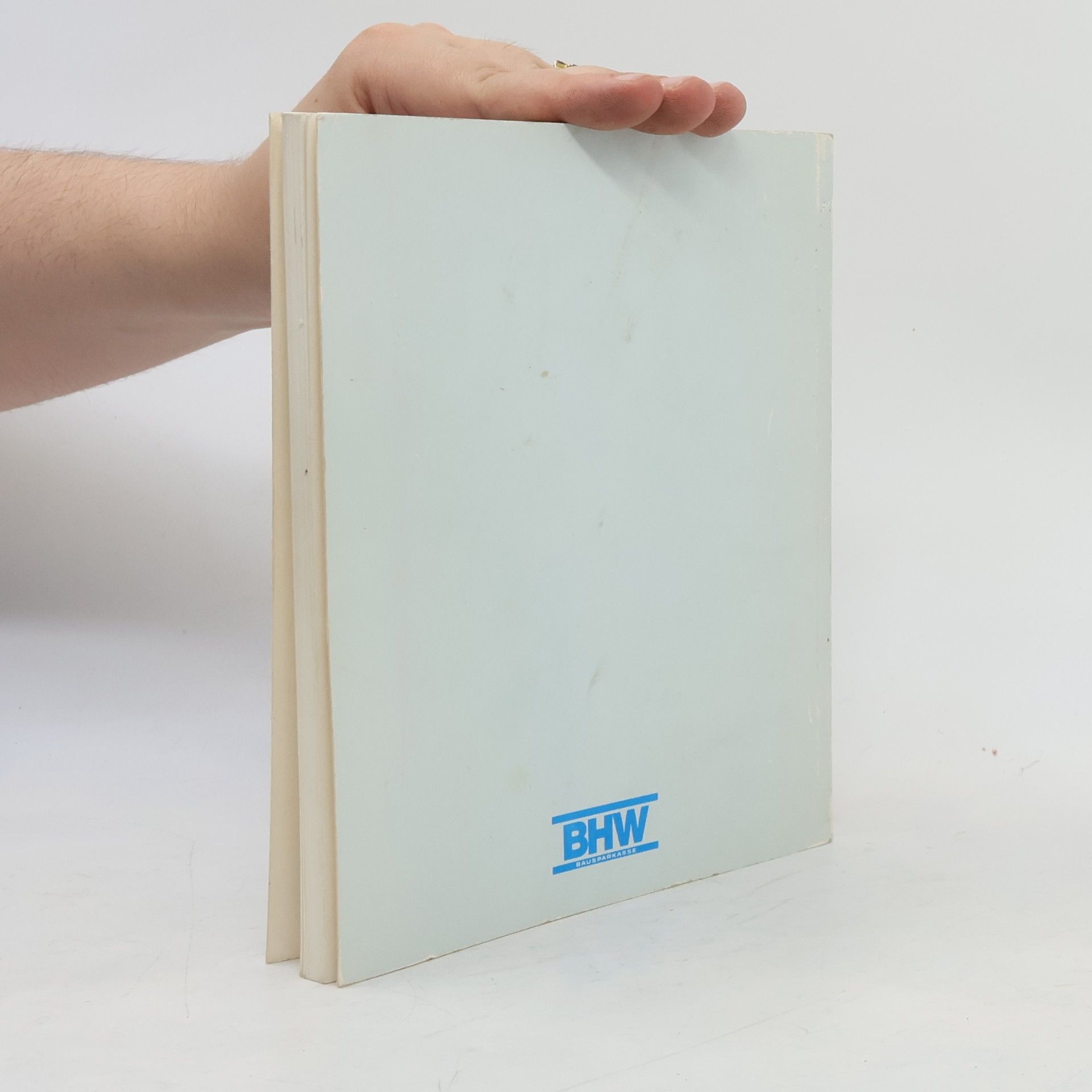 Frank Baum Richtig Fliesen und Platten verlegen