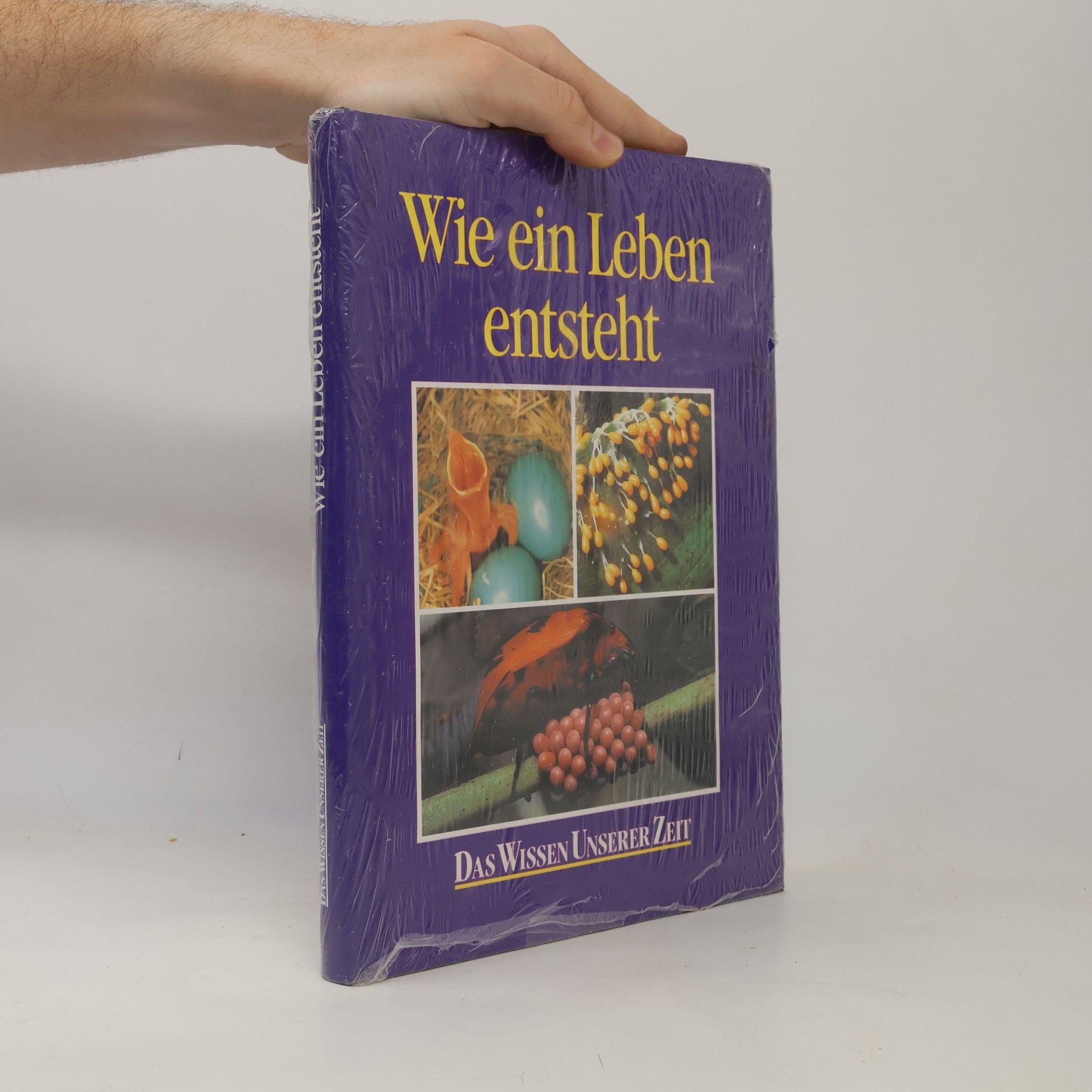 Autorenkollektiv Wie ein Leben entsteht