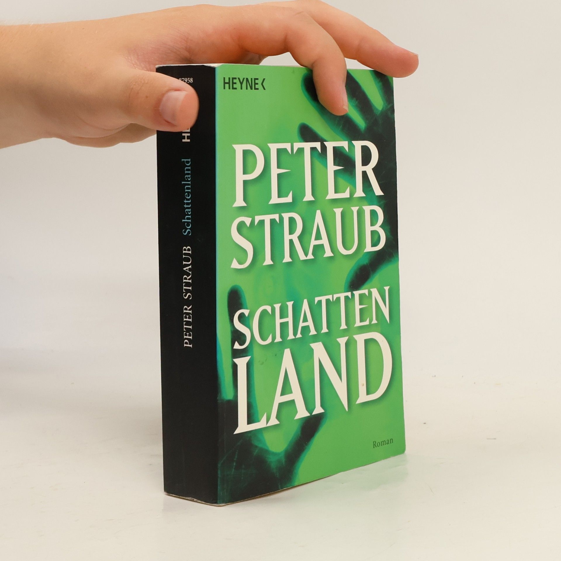 Peter Straub Schattenland