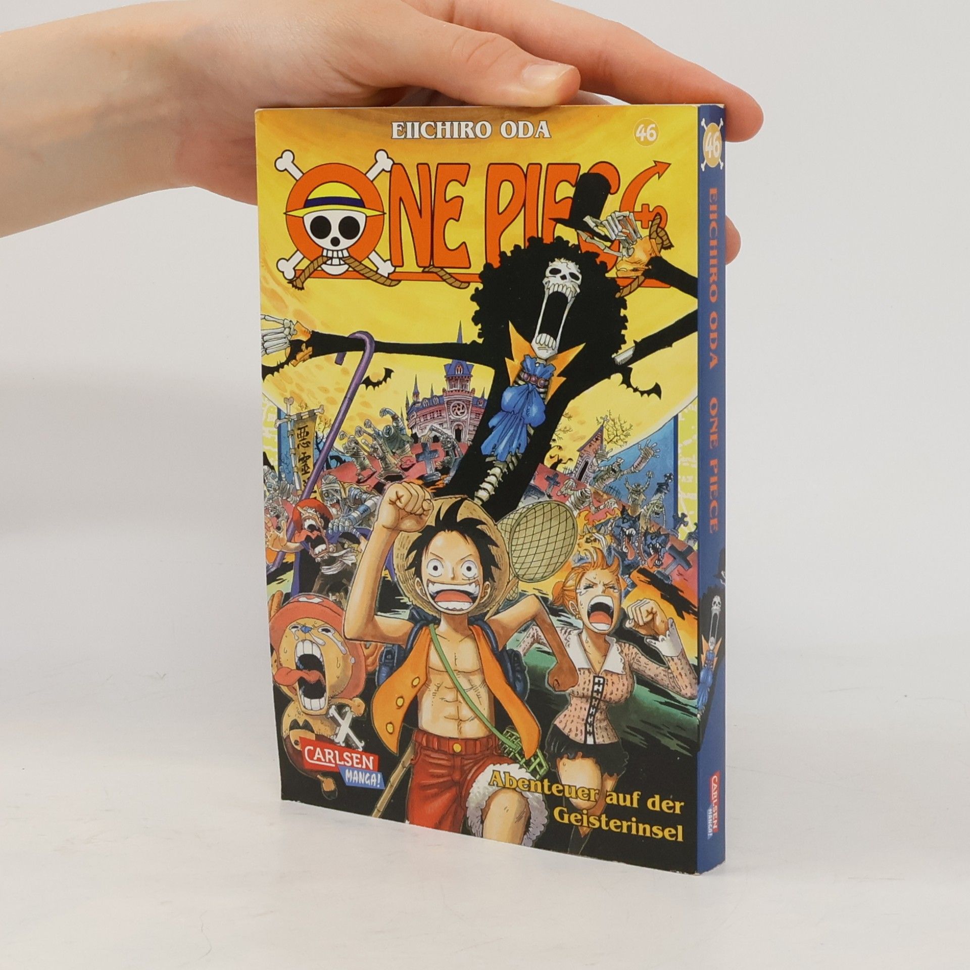 One piece 46