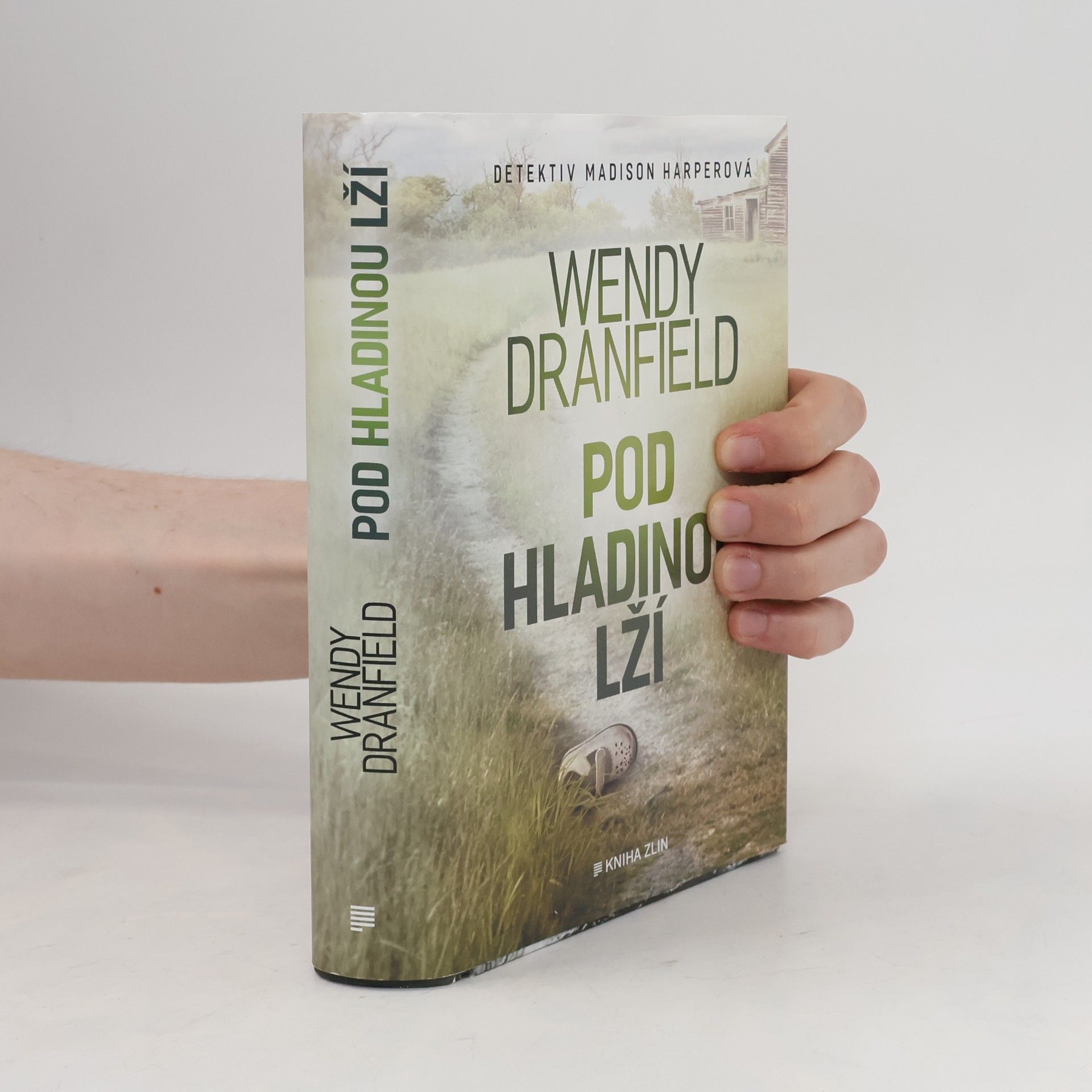 Wendy Dranfield Pod hladinou lží
