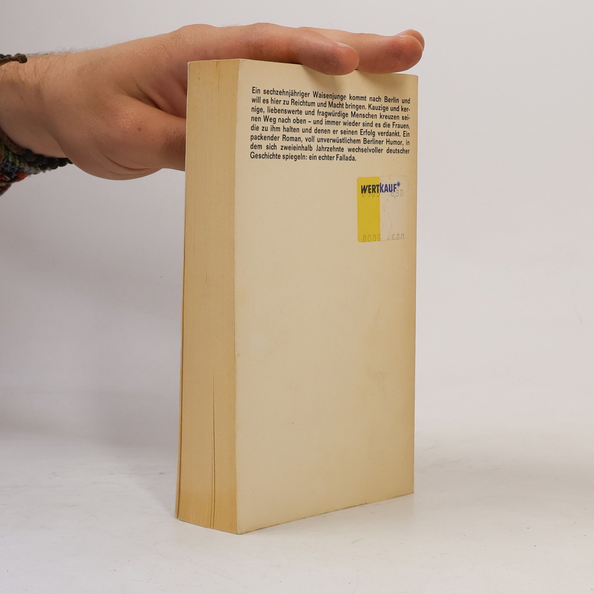 Hans Fallada Ein Mann will nach oben