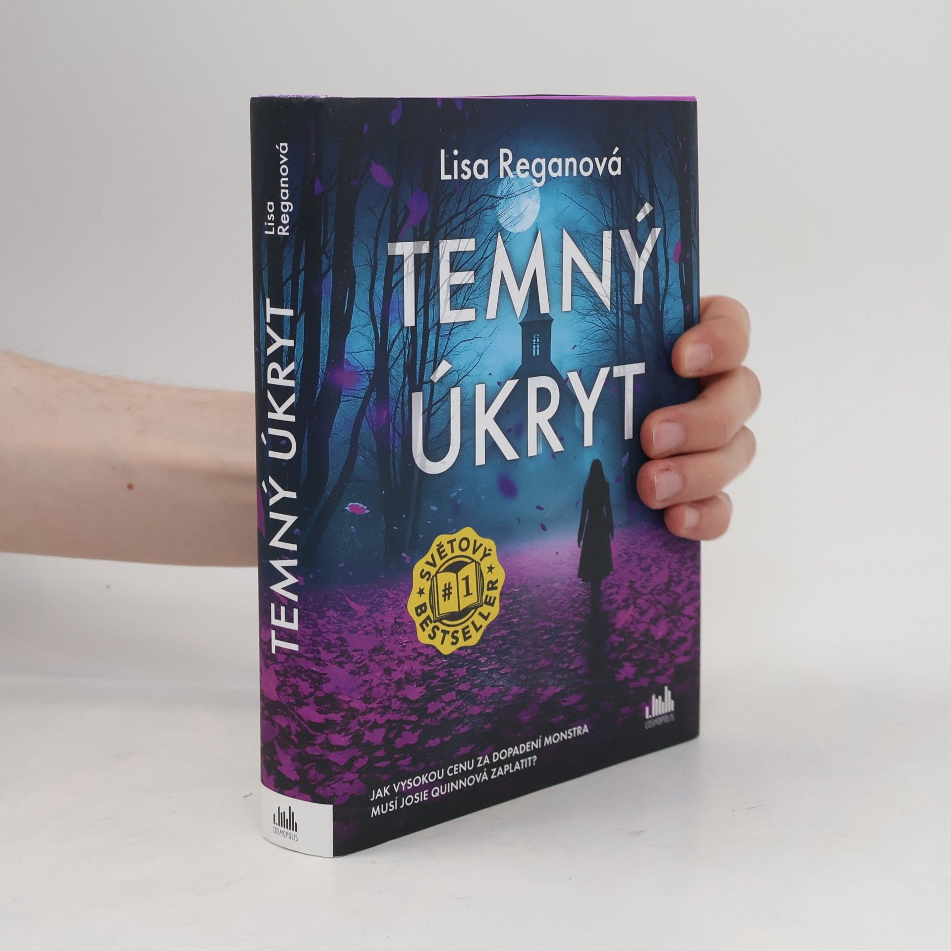 Lisa Regan Temný úkryt