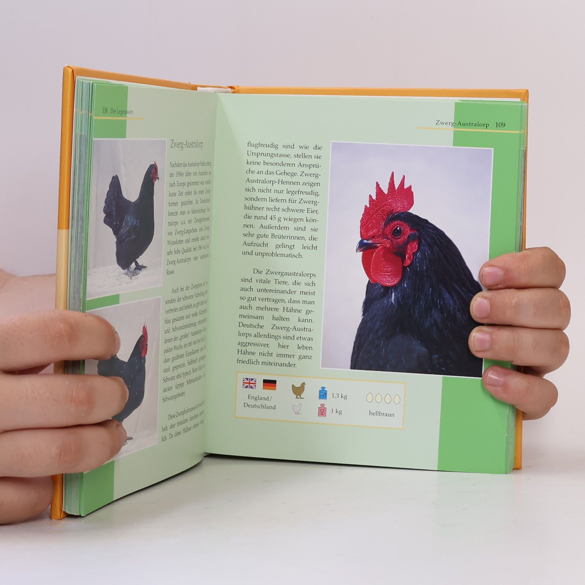 Autorenkollektiv Dumonts kleines Lexikon der Hühner