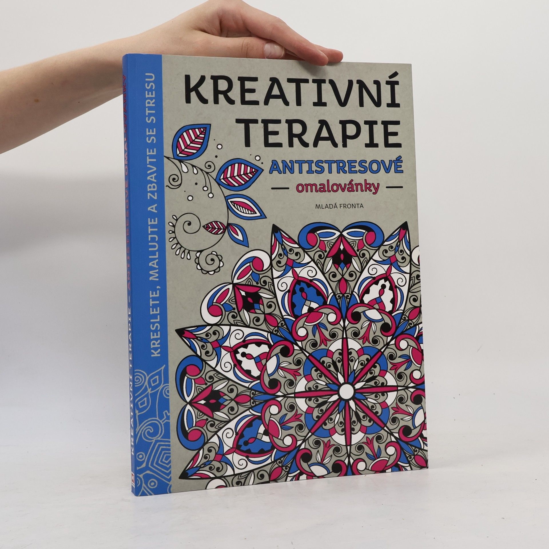 Autorenkollektiv Kreativní terapie. Inspirativní zápisník
