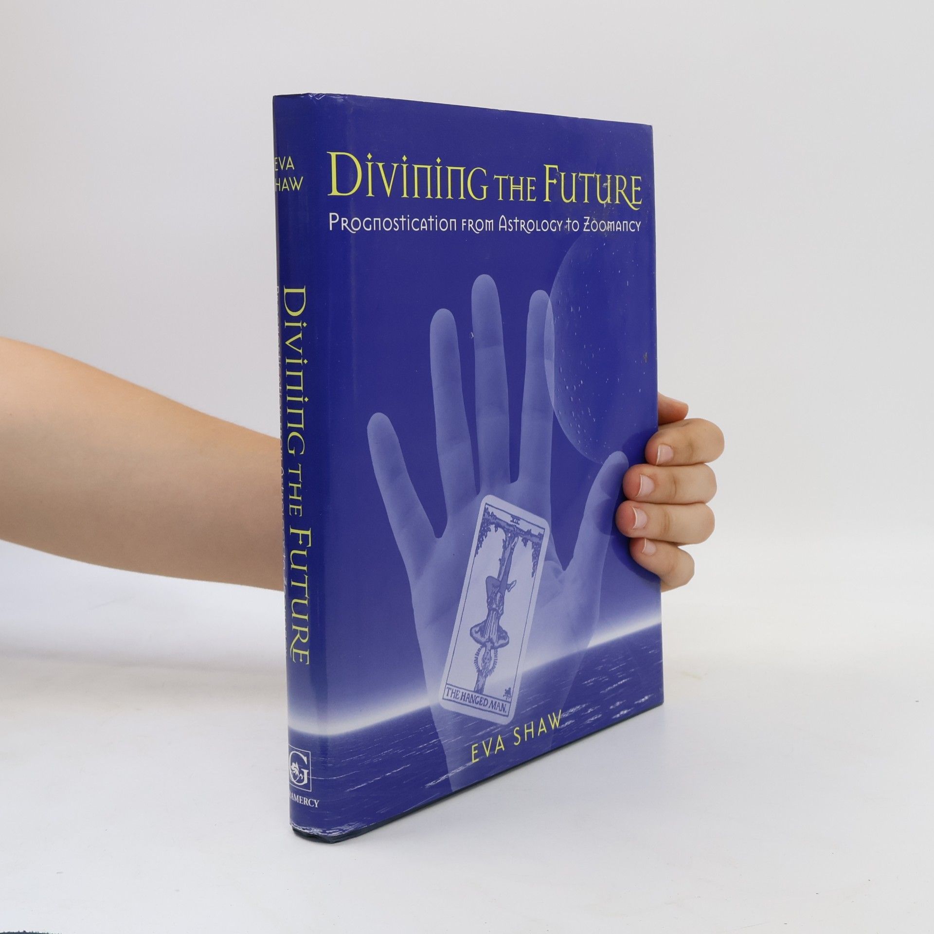 Eva Shaw Divining the Future