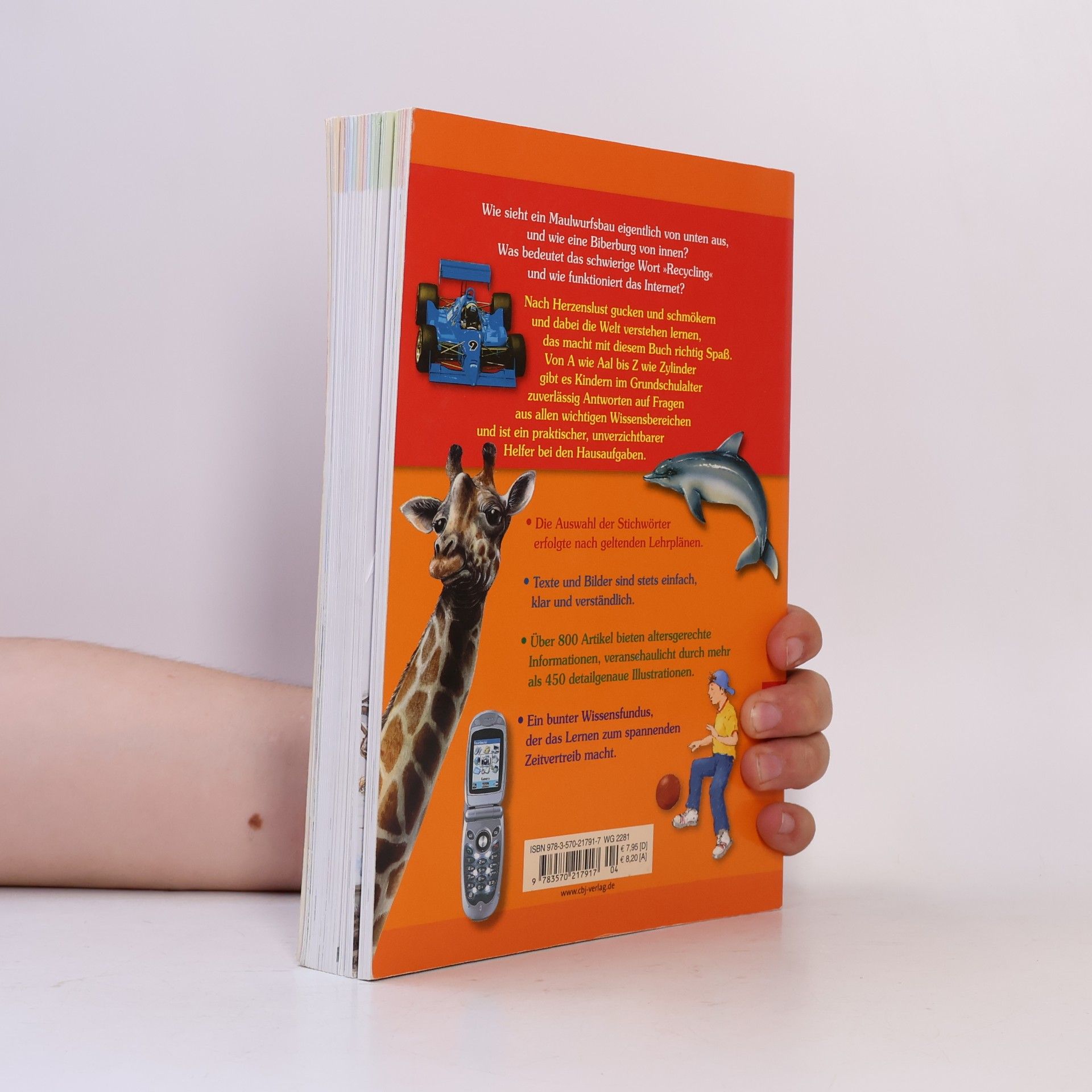 Autorenkollektiv Das große Taschelexikon für die Grundschule von A-Z