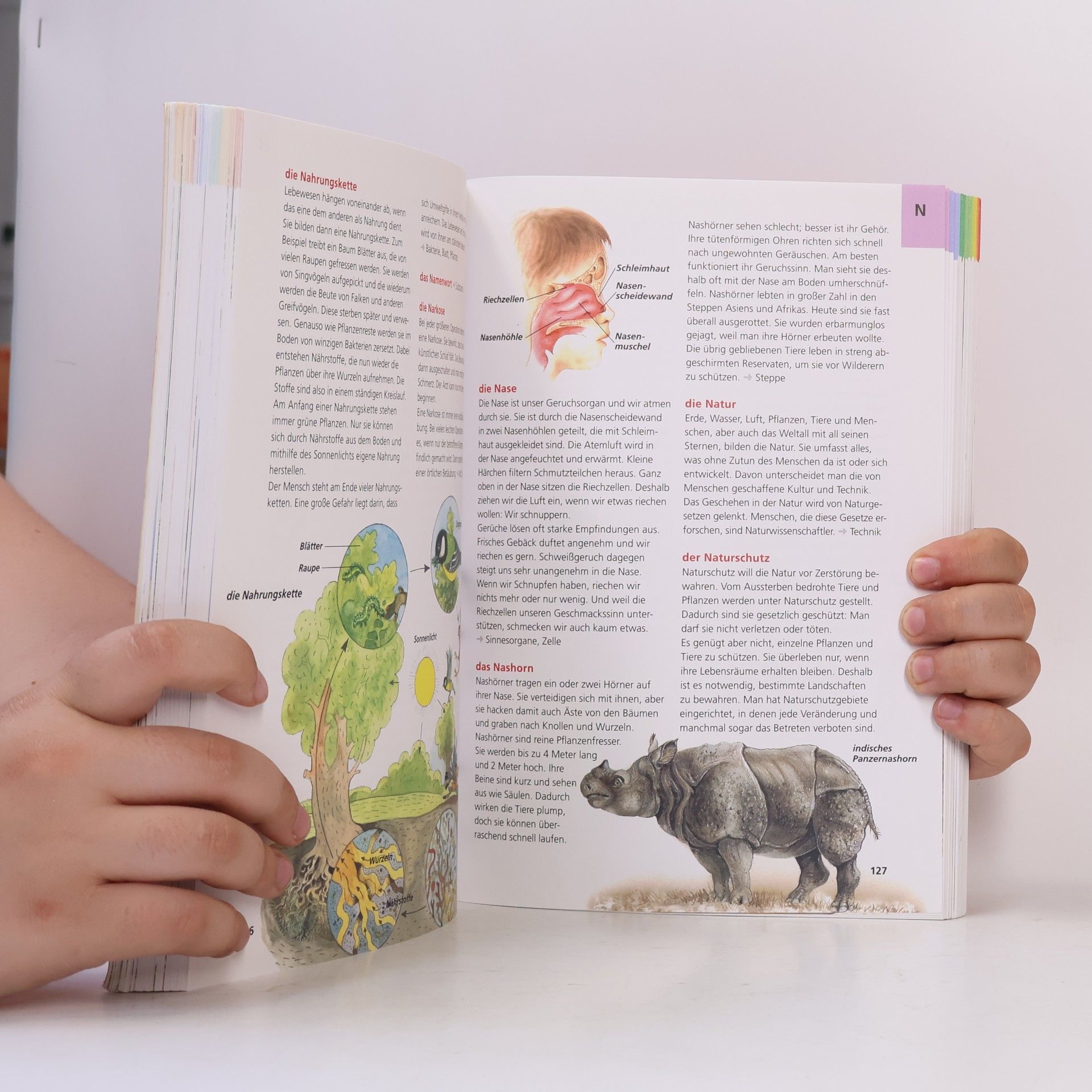 Autorenkollektiv Das große Taschelexikon für die Grundschule von A-Z