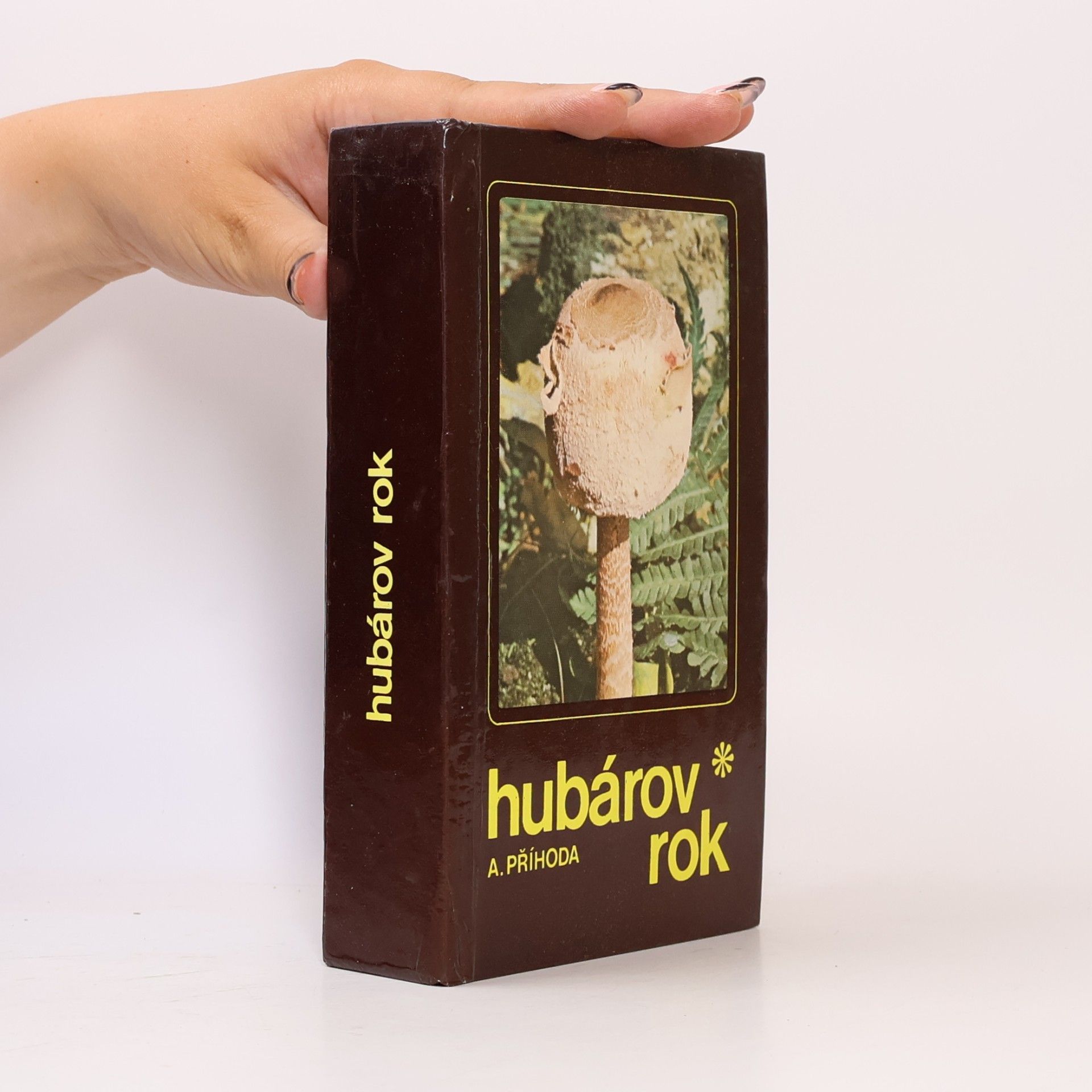 Antonín Příhoda Hubárov rok. Vychádzky za hubami od jari do zimy