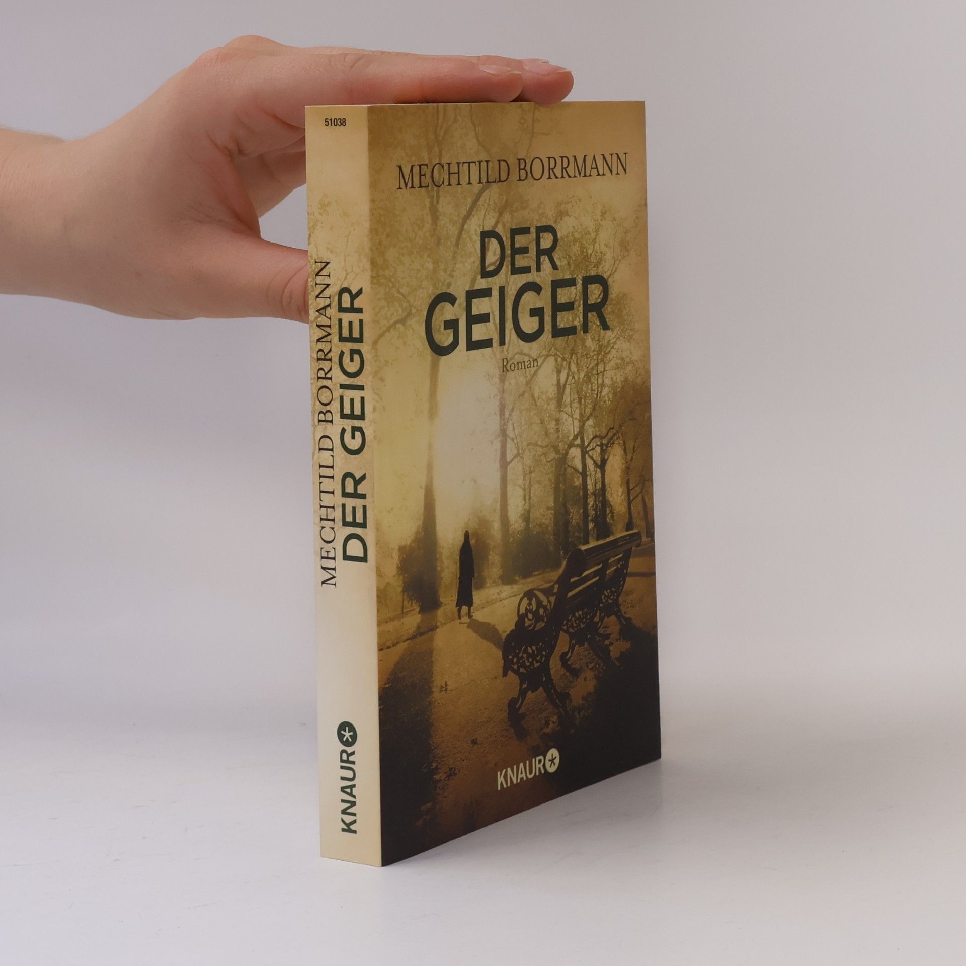 Mechtild Borrmann Der Geiger