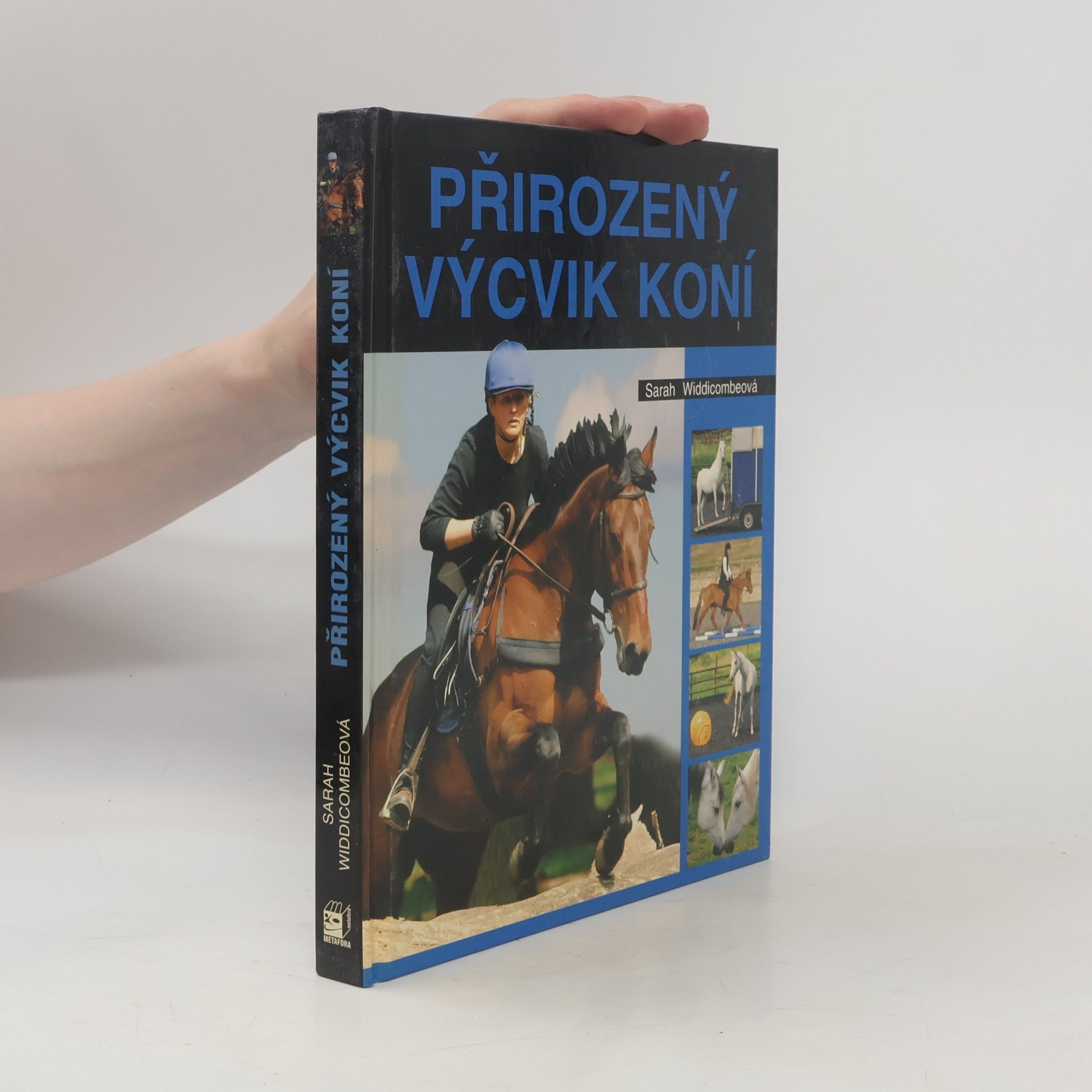 Sarah Widdicombe Přirozený výcvik koní