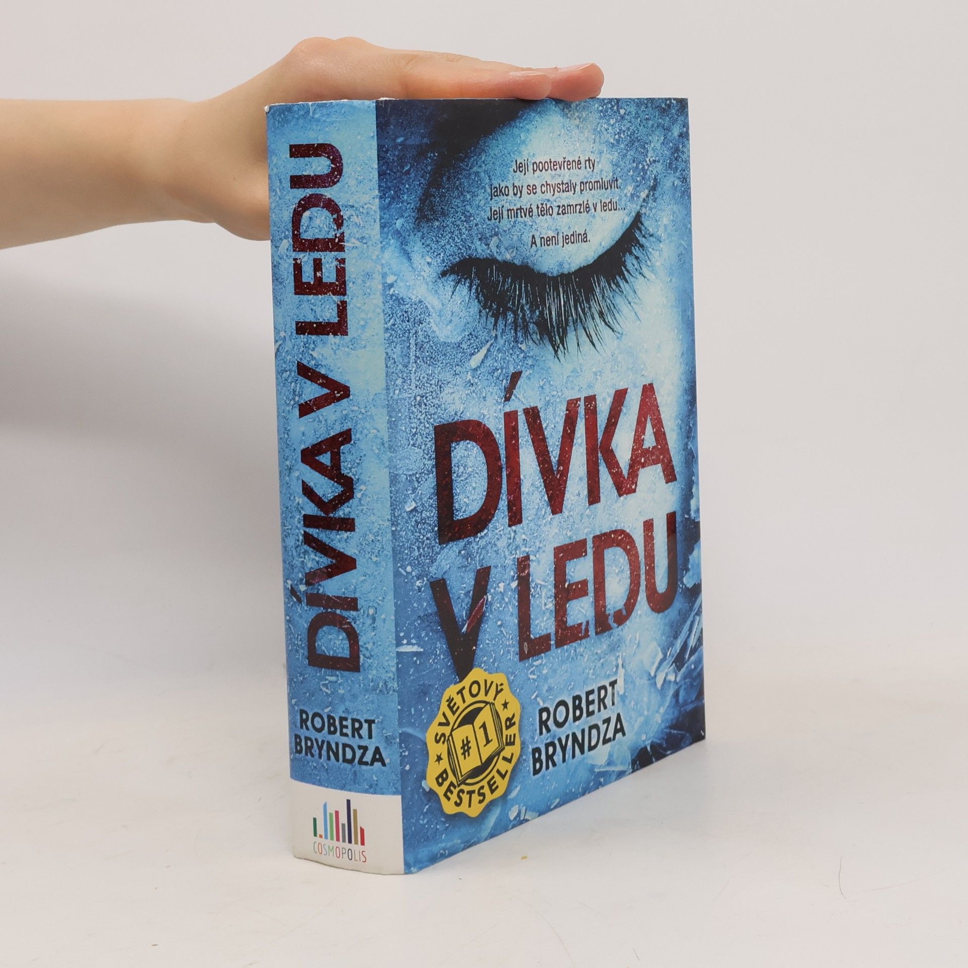 Robert Bryndza Dívka v ledu