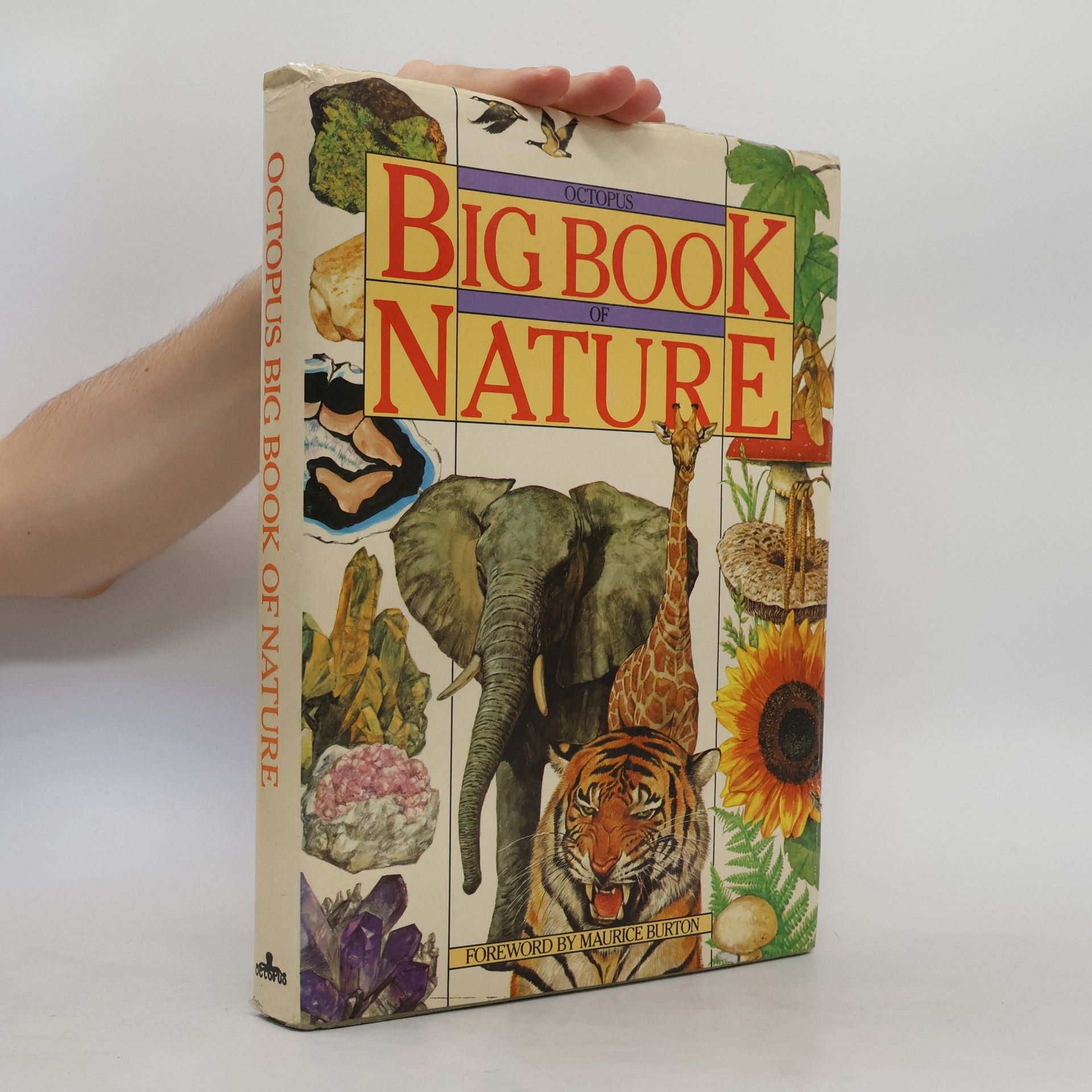 Autorenkollektiv Octopus Big Book of Nature