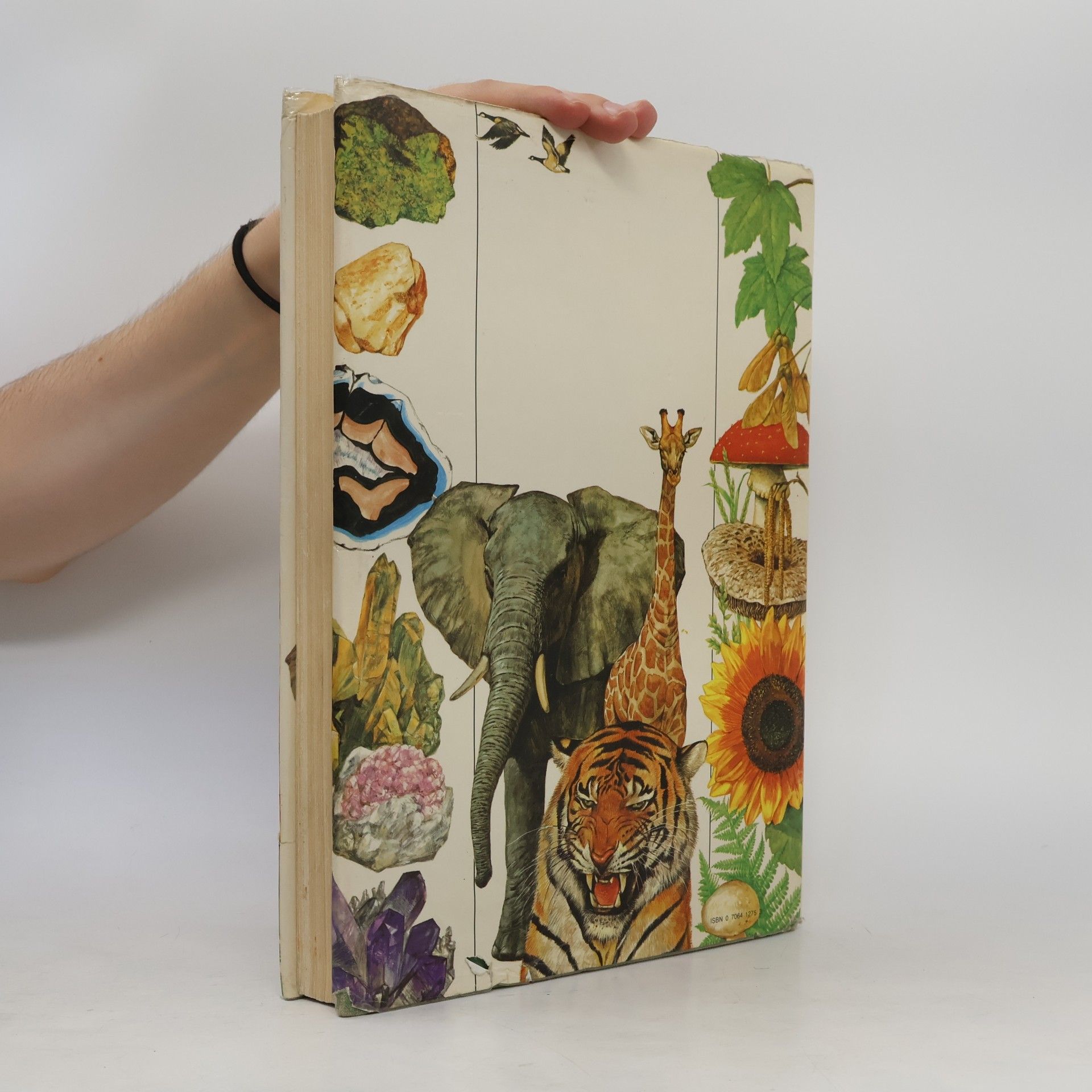kolektiv Octopus Big Book of Nature