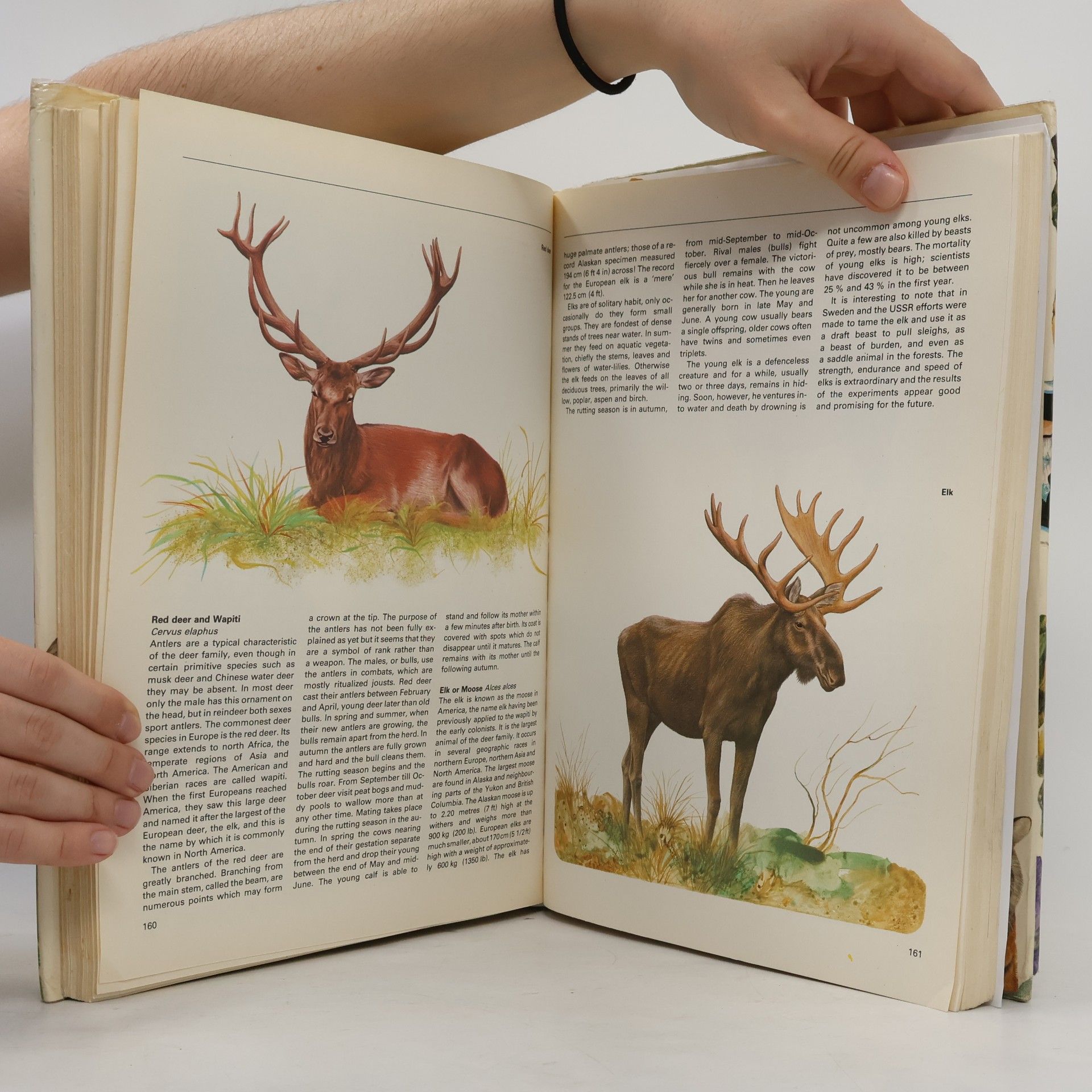 kolektiv Octopus Big Book of Nature