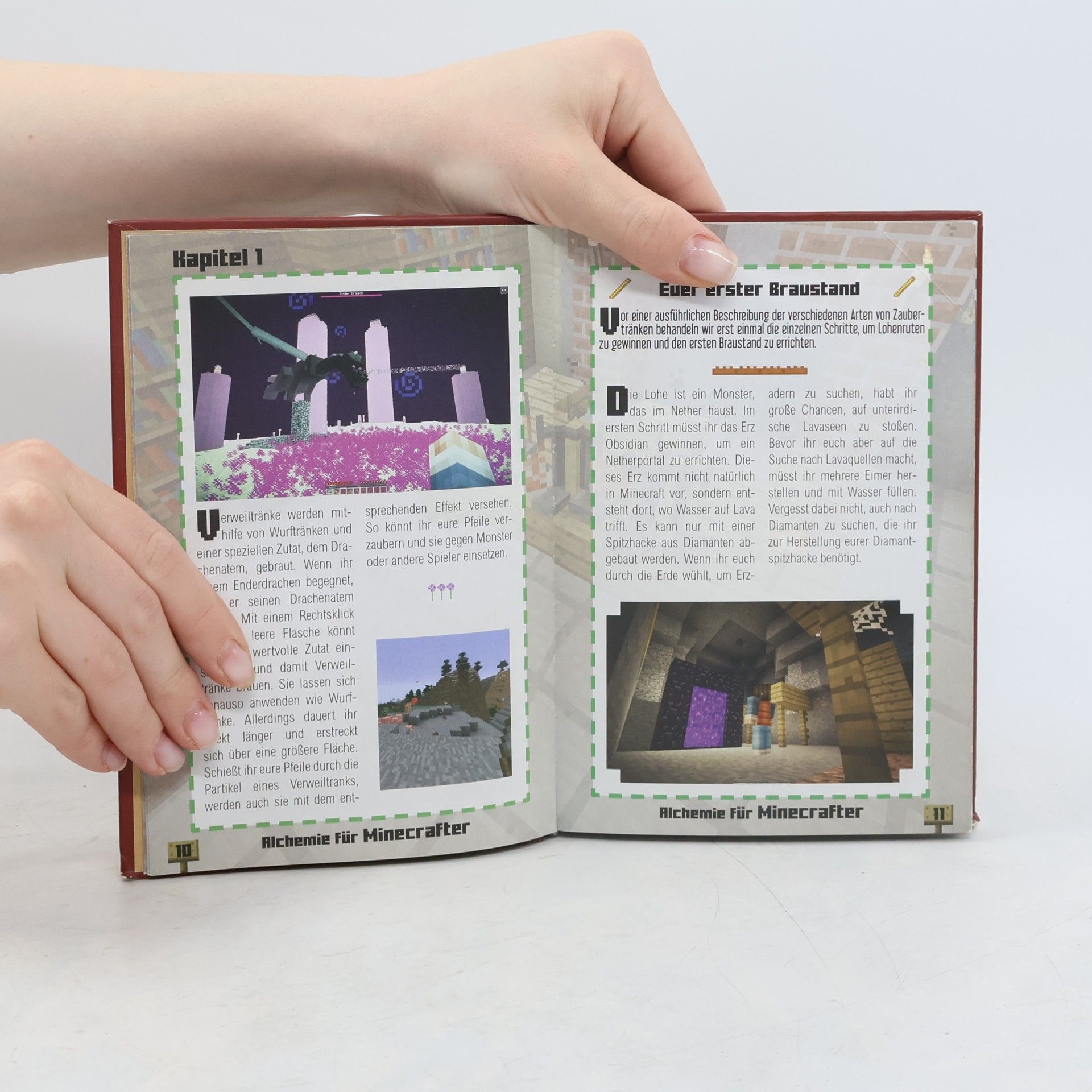 Stéphane Pilet Alchemie für Minecrafter