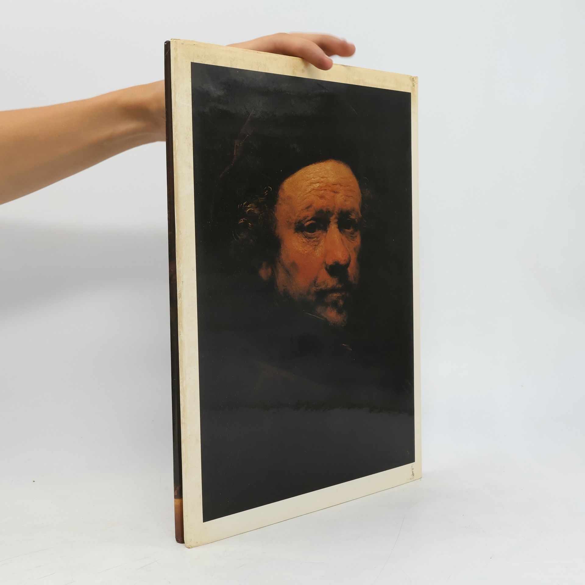 Douglas Mannering Grosse Künstler. Rembrandt