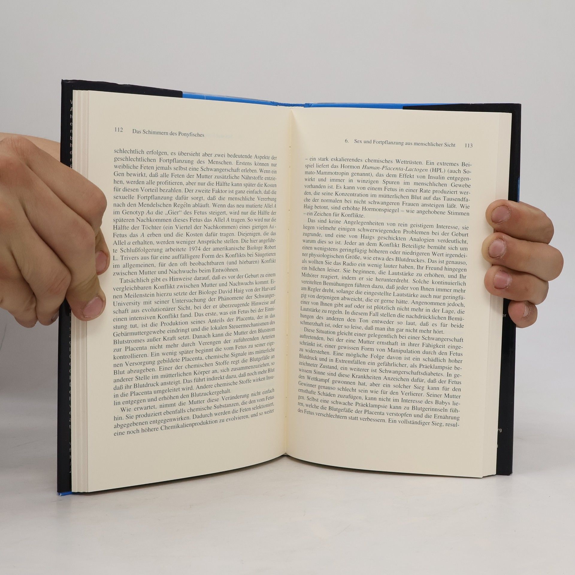 George Christopher Williams Das Schimmern des Ponyfisches