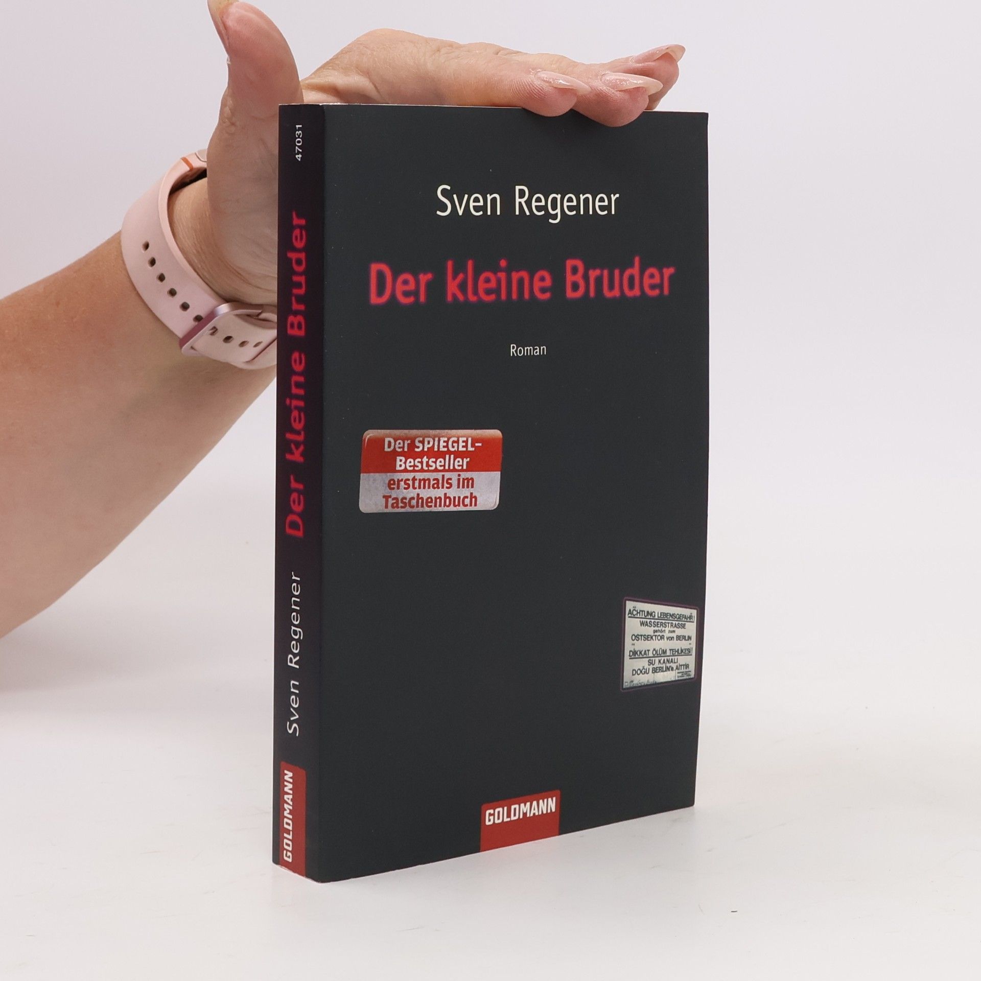 Sven Regener Der kleine Bruder