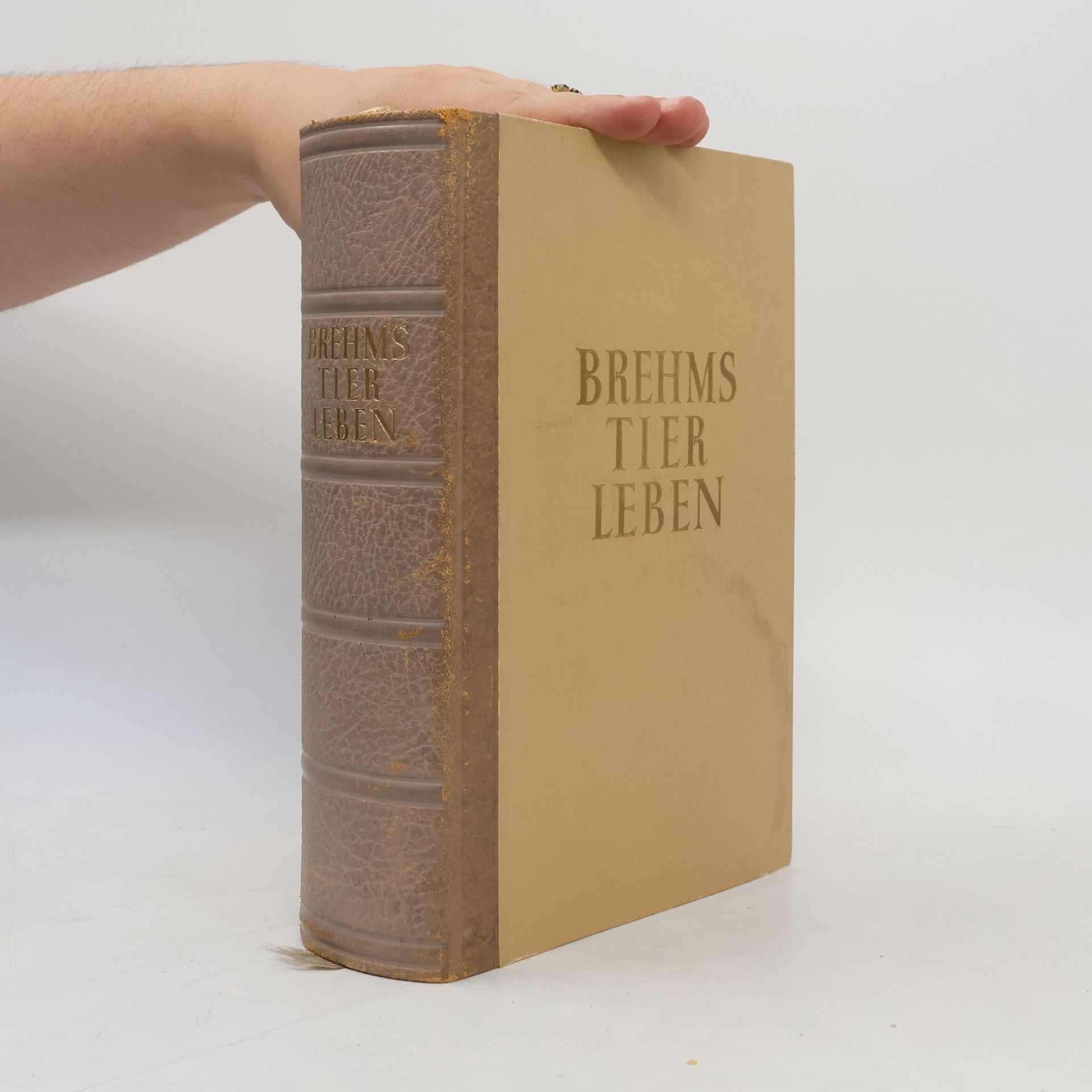 Autorenkollektiv Brehms Tier Leben