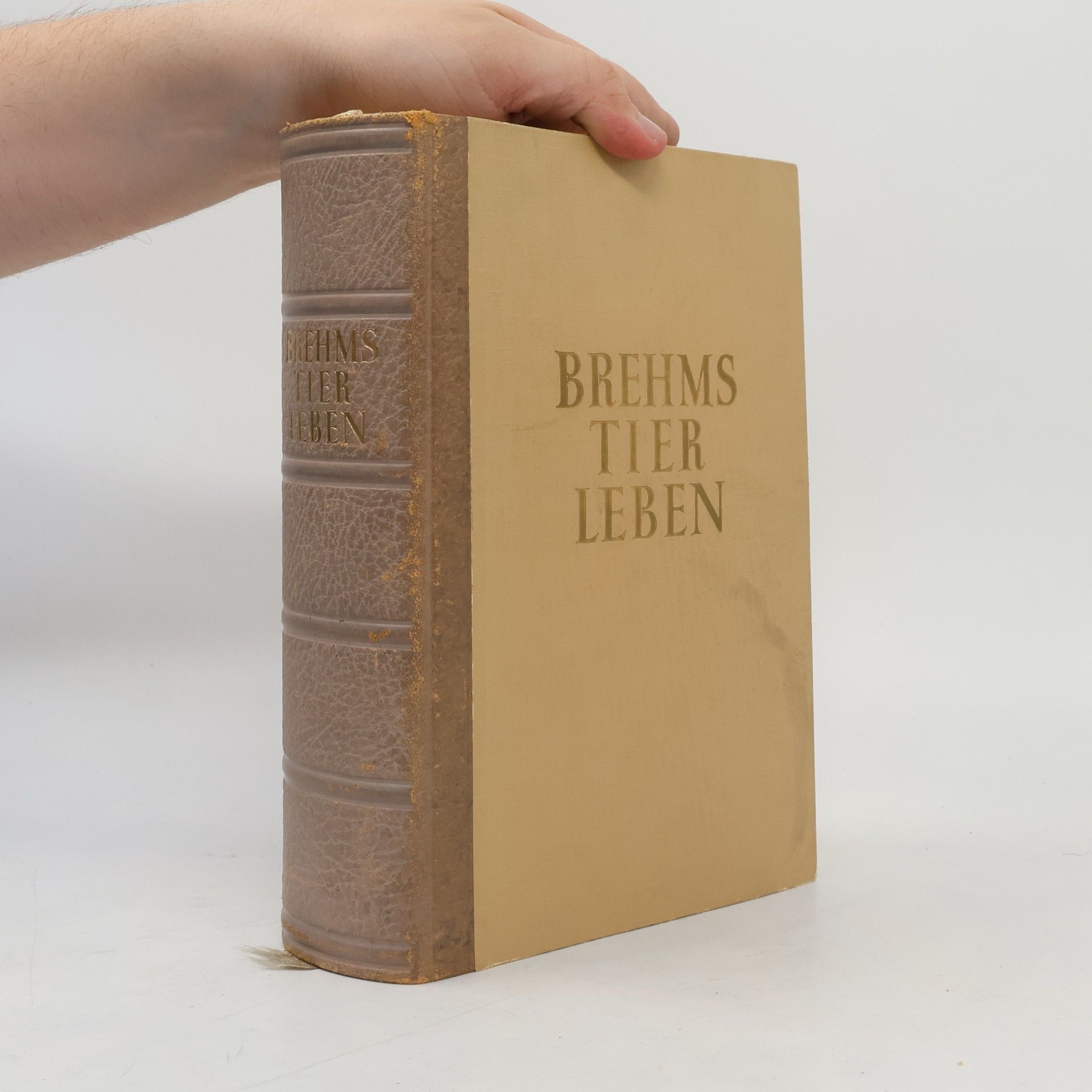 Autorenkollektiv Brehms Tier Leben