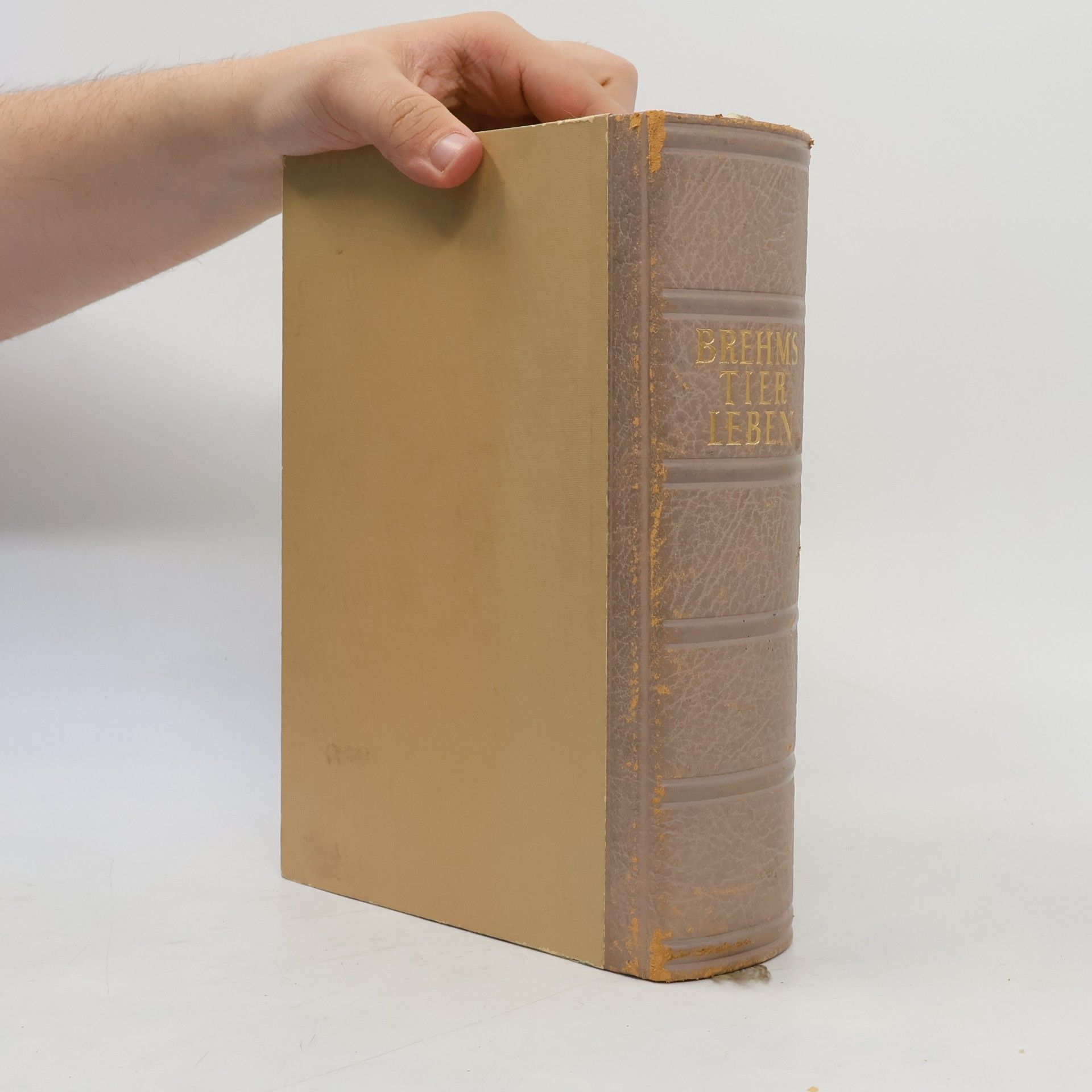 Autorenkollektiv Brehms Tier Leben