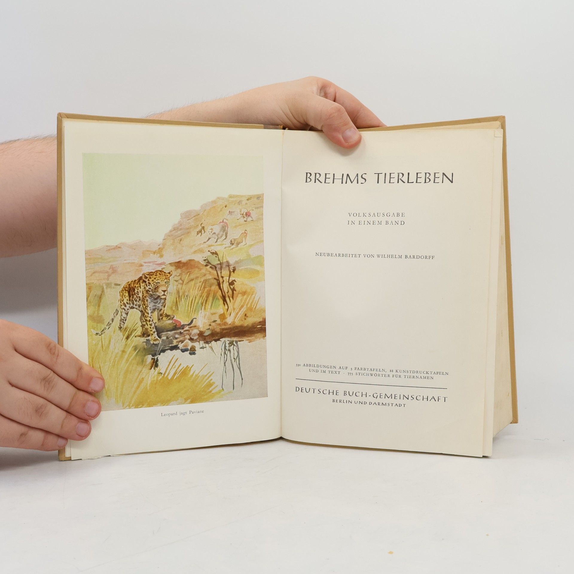 Autorenkollektiv Brehms Tier Leben