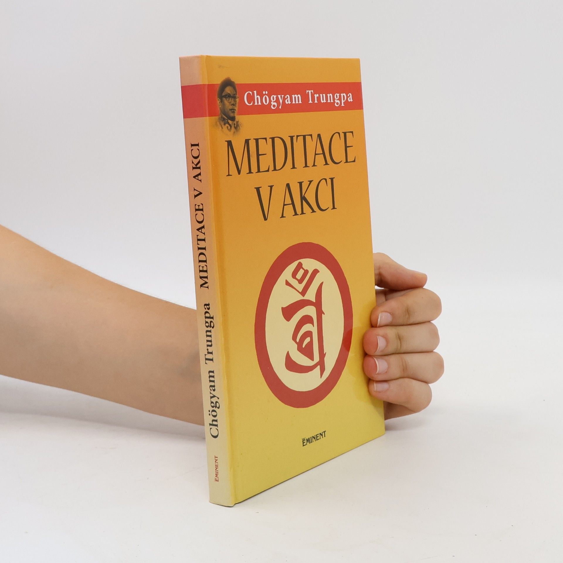 Chögyam Trungpa Meditace v akci