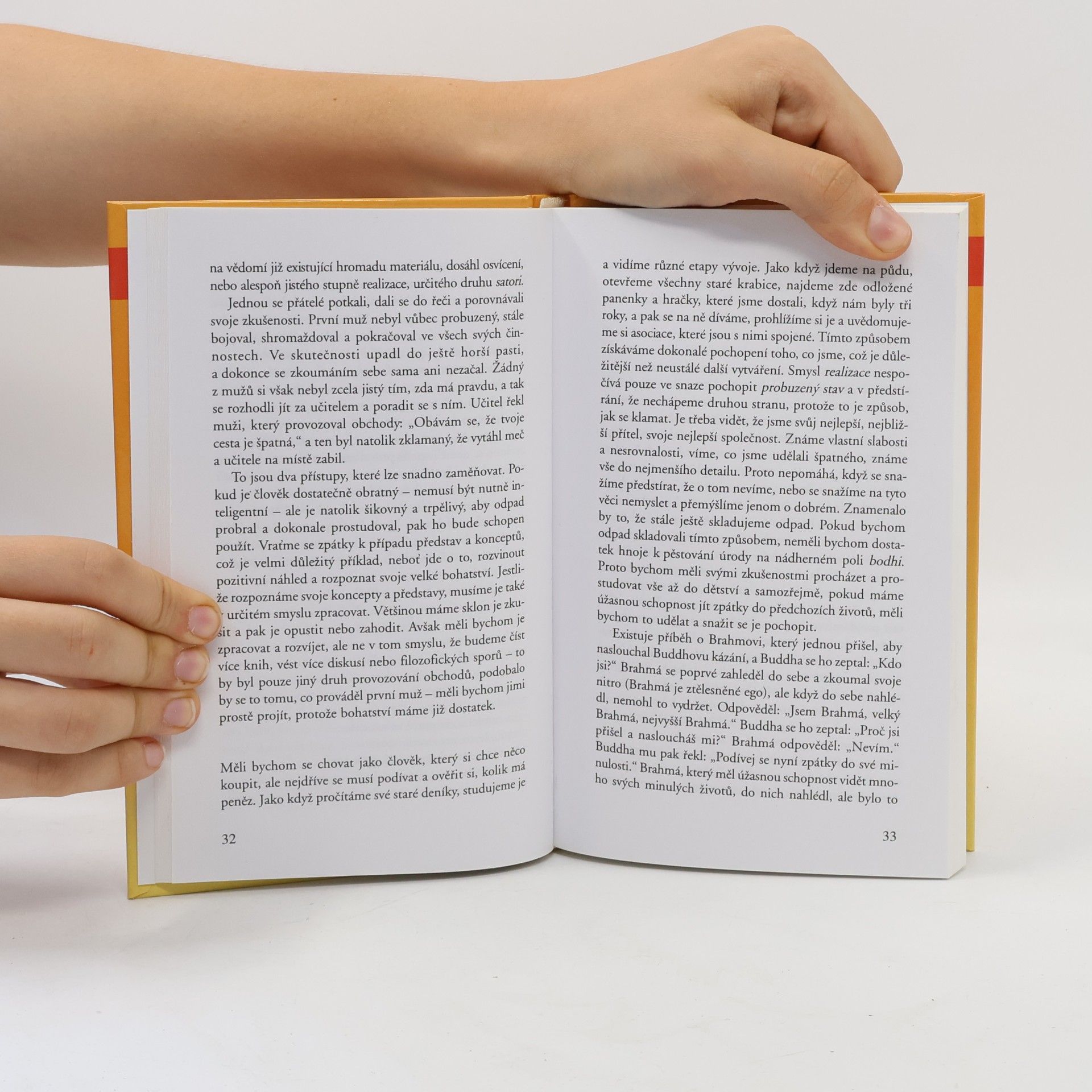 Čhögjam Trungpa Meditace v akci