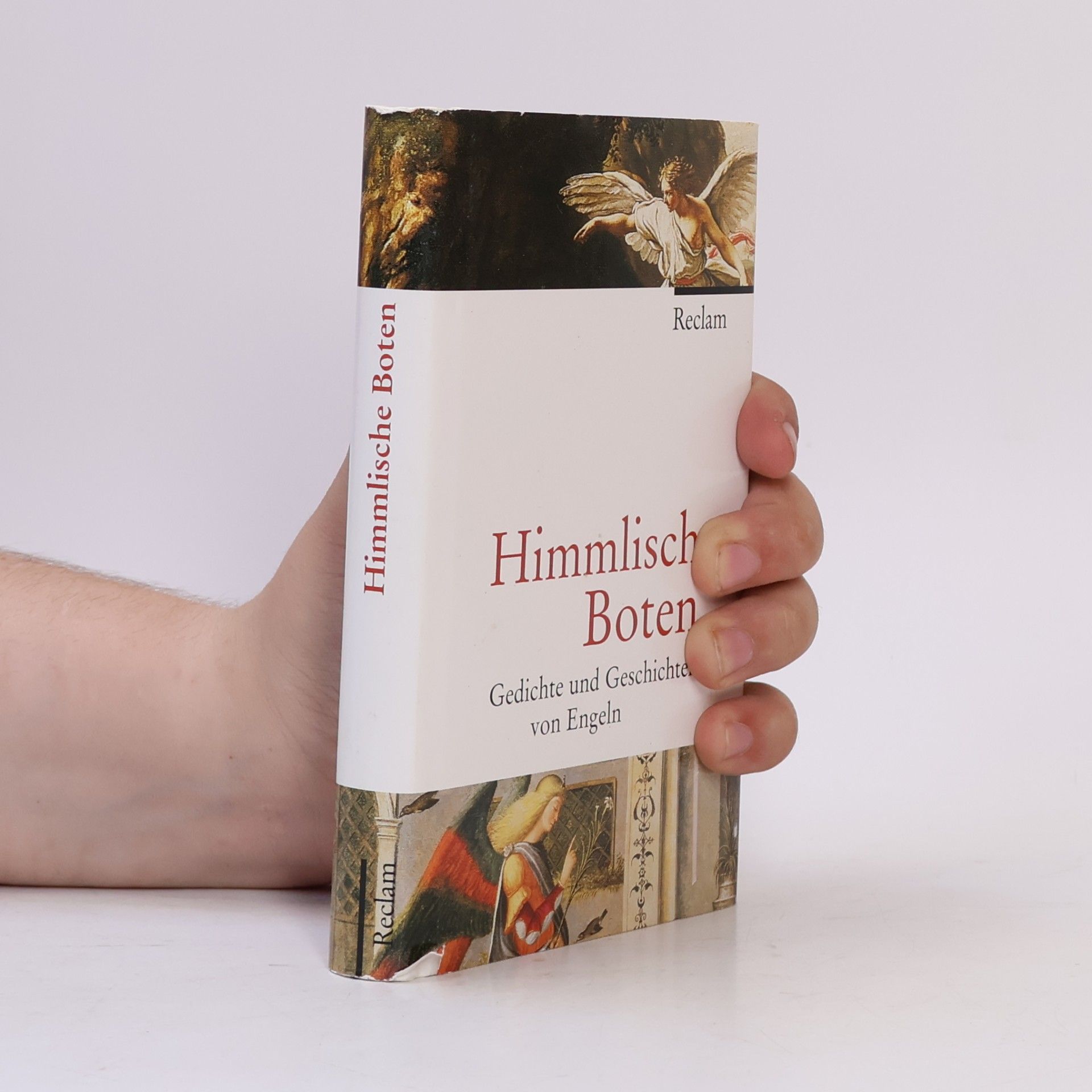 Andrea Wüstner Himmlische Boten