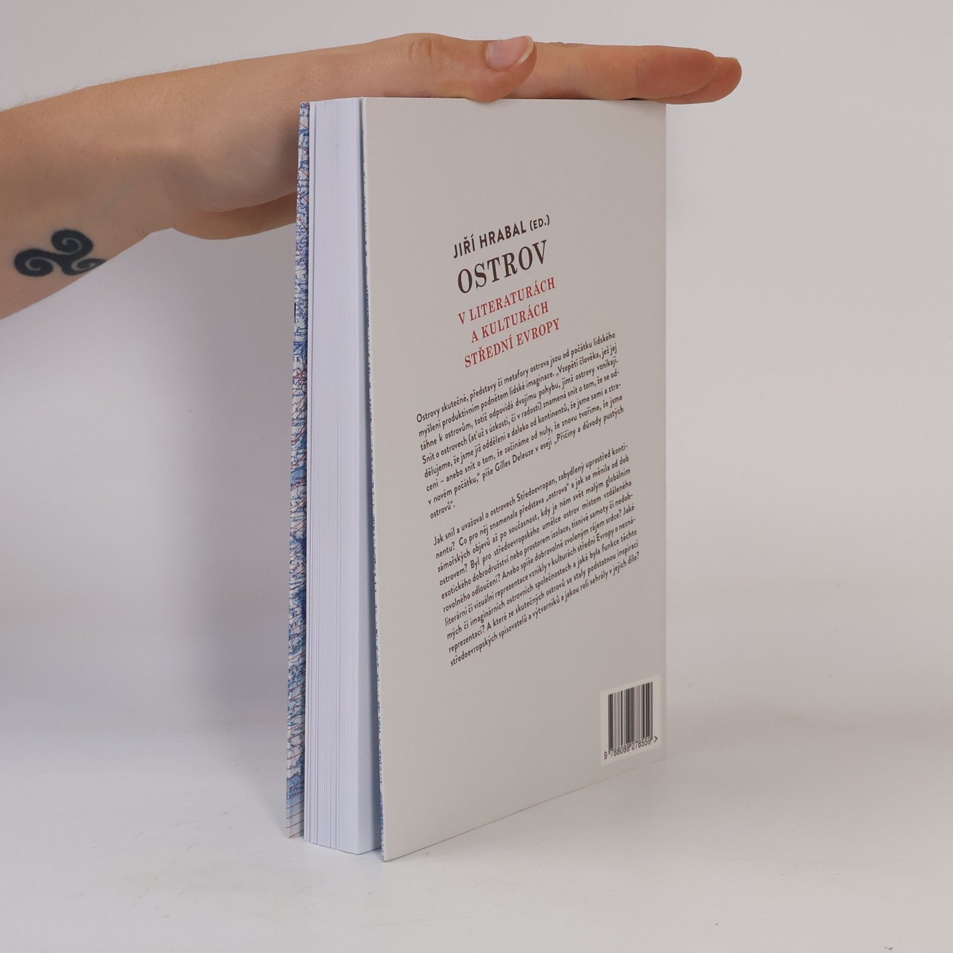 Jiří Hrabal Ostrov v literaturách a kulturách střední Evropy