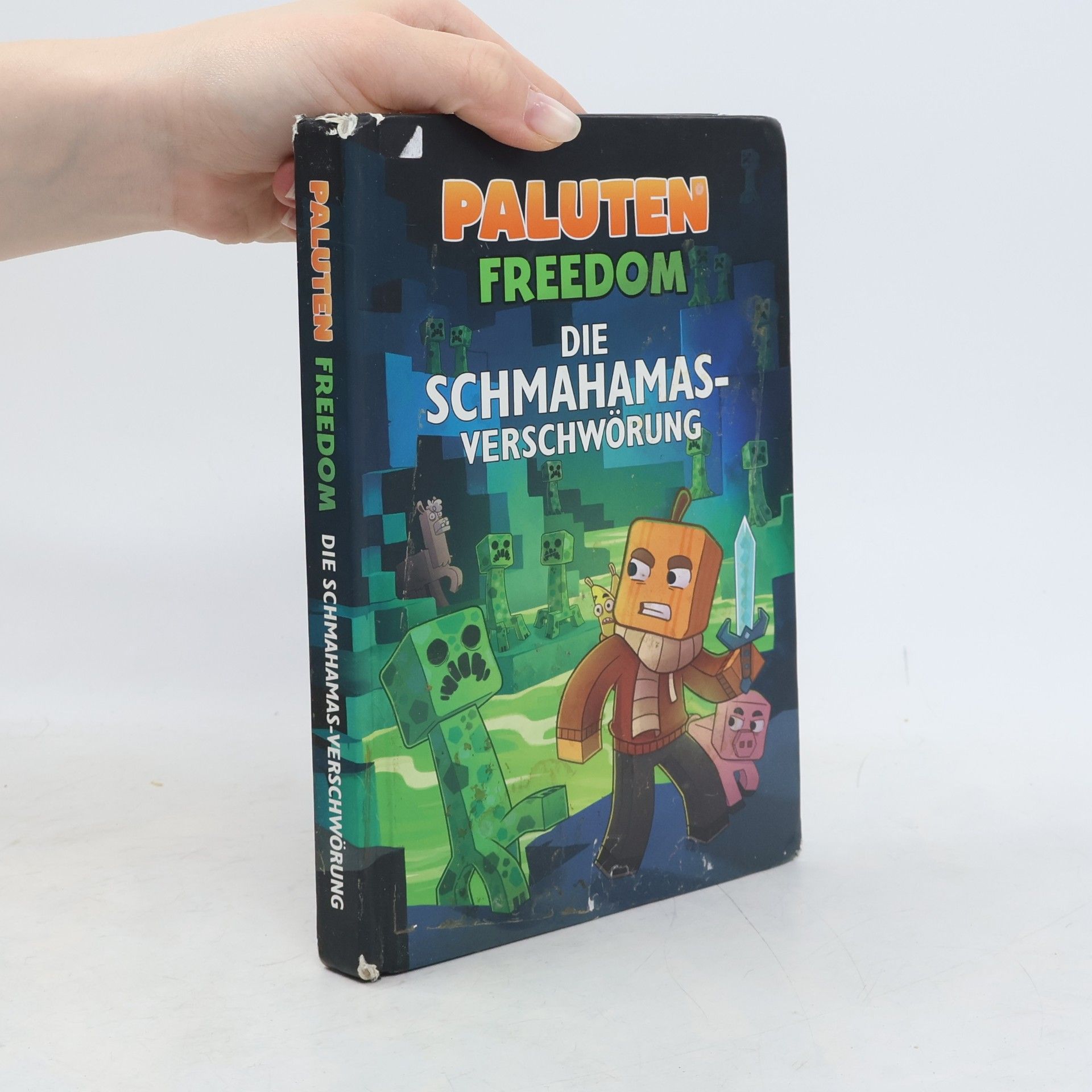 Klaas Kern Paluten Freedom. Die Schmahamas-Verschwörung