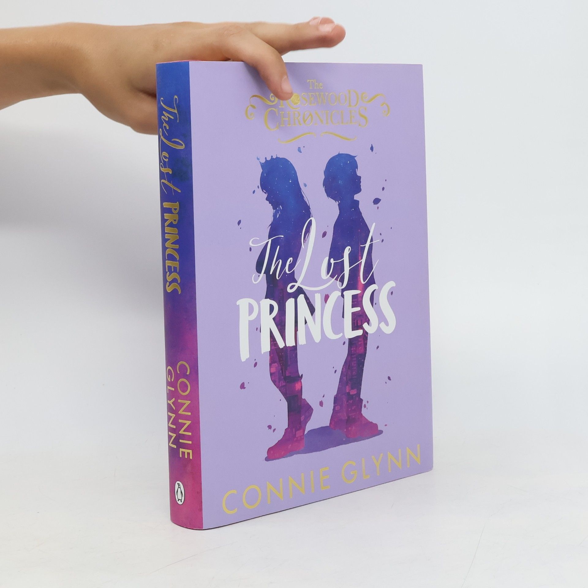 Connie Glynn The Lost Princess