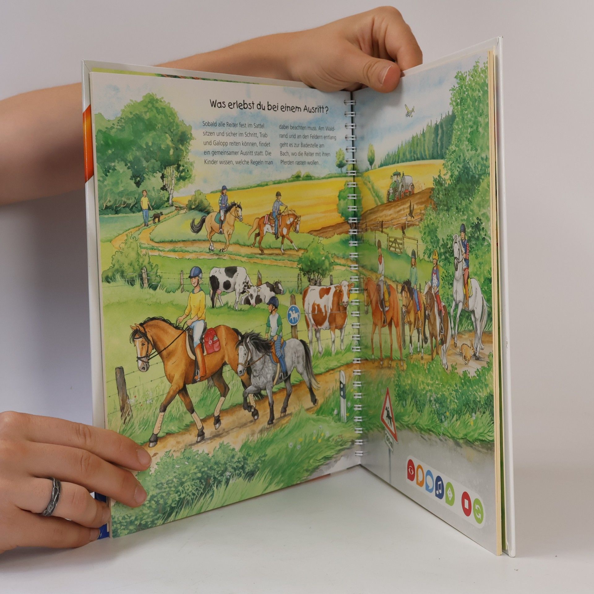 Melanie Brockamp Die Welt der Pferde und Ponys