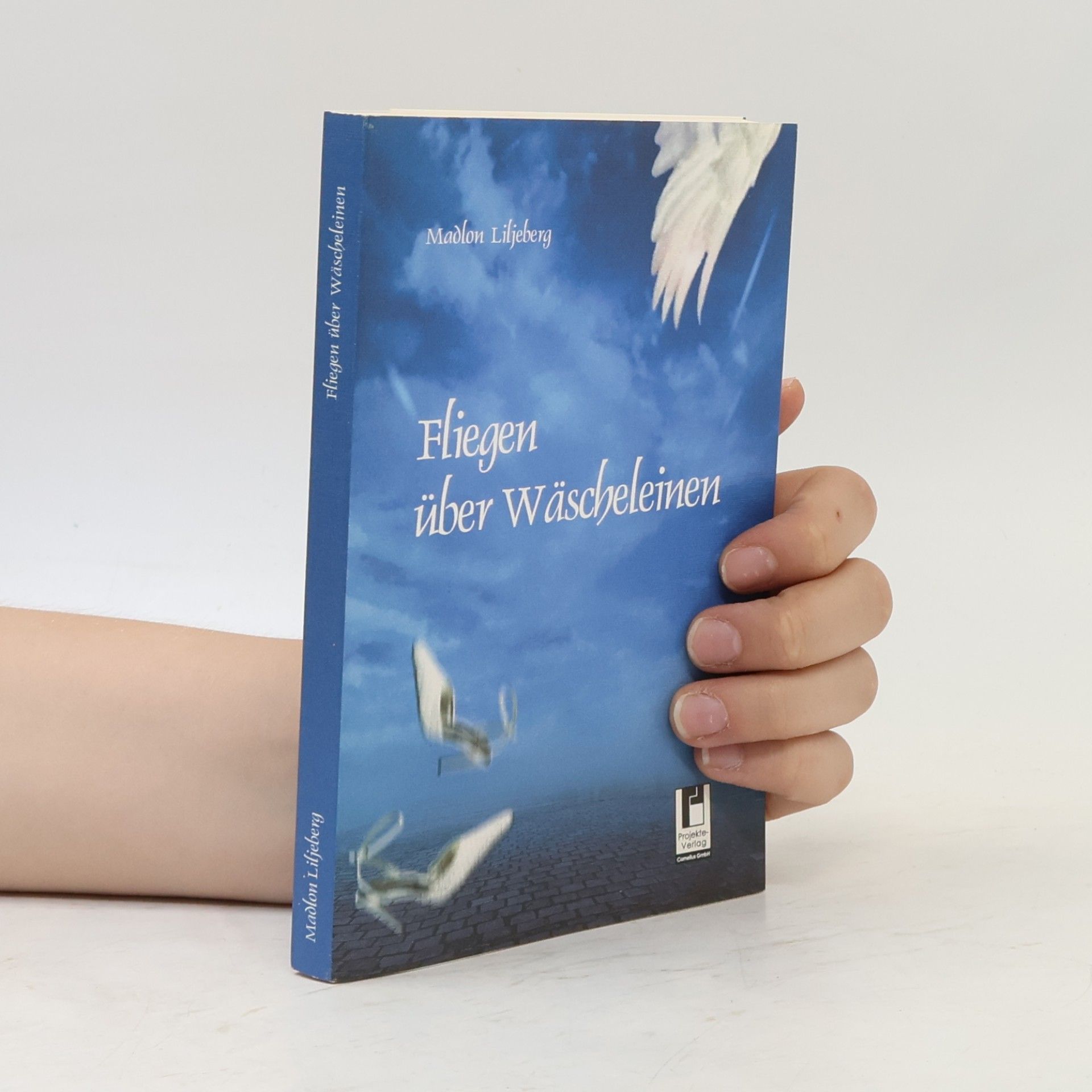 Madlon Liljeberg Fliegen über Wäscheleinen