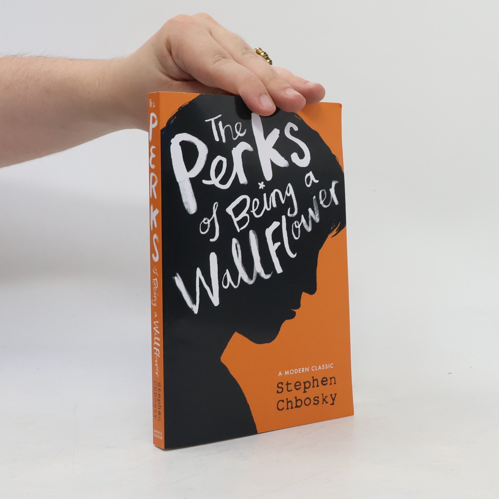 Stephen Chbosky The Perks of Being a Wallflower