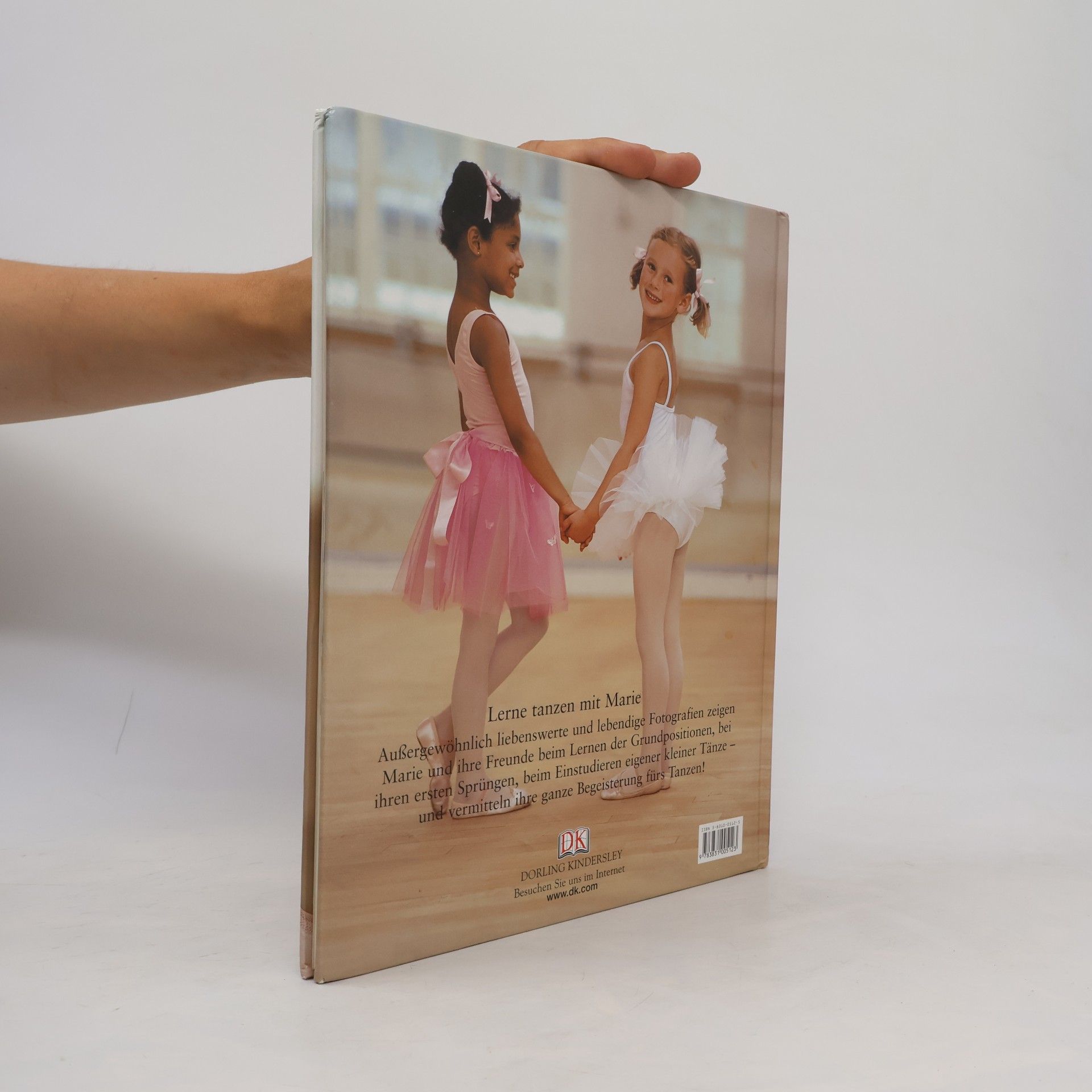 Kolektiv autorů Meine Ballettschule