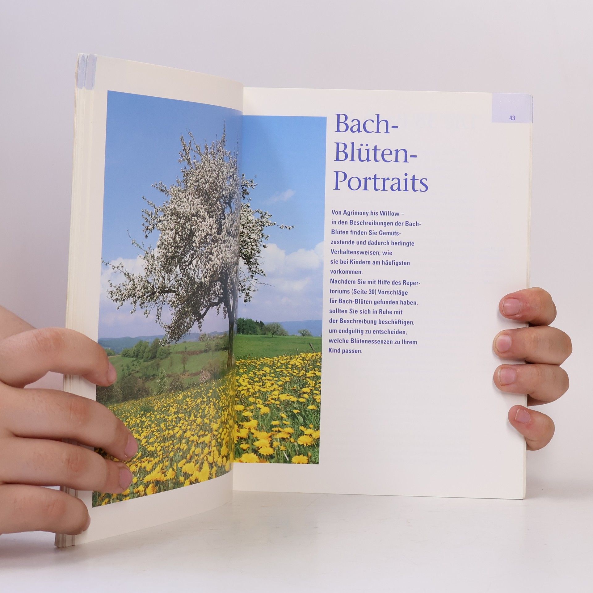 Sigrid Schmidt Bach-Blüten für Kinder